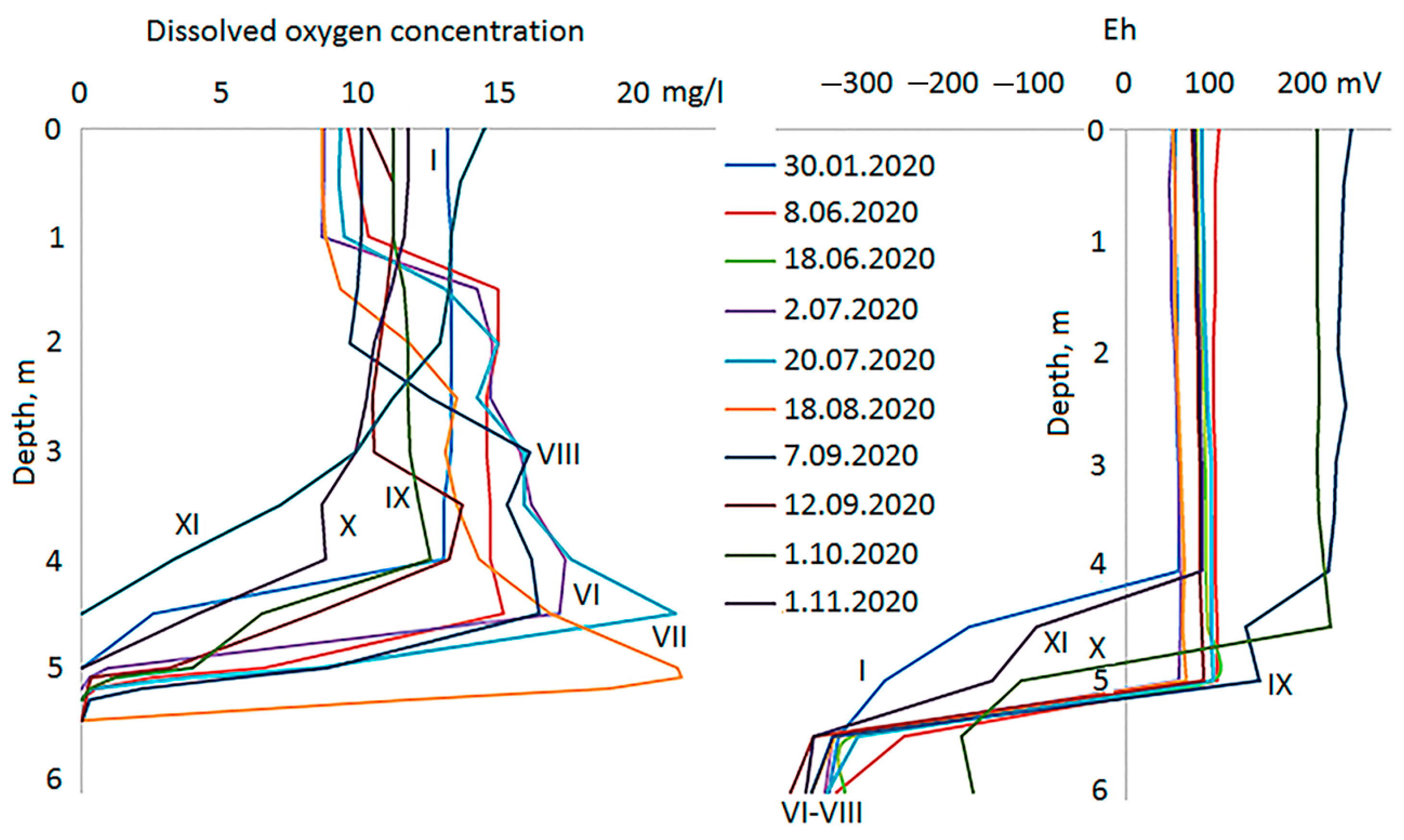 Diversity 15 01009 g004