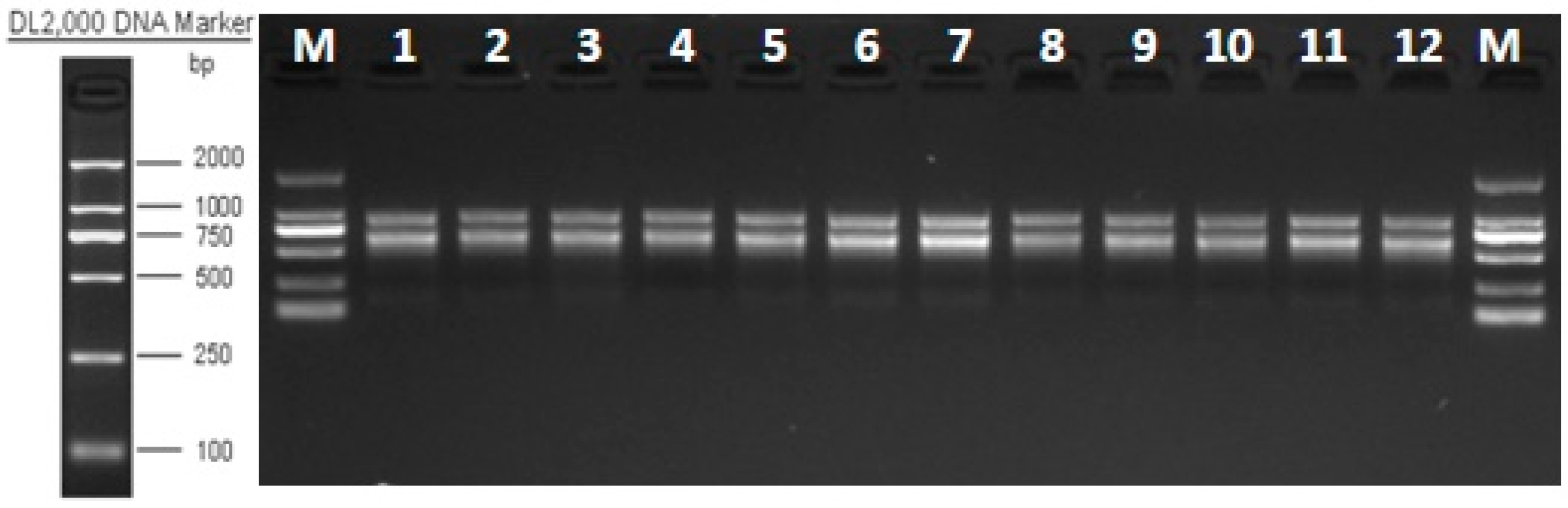 Diversity 15 01020 g001