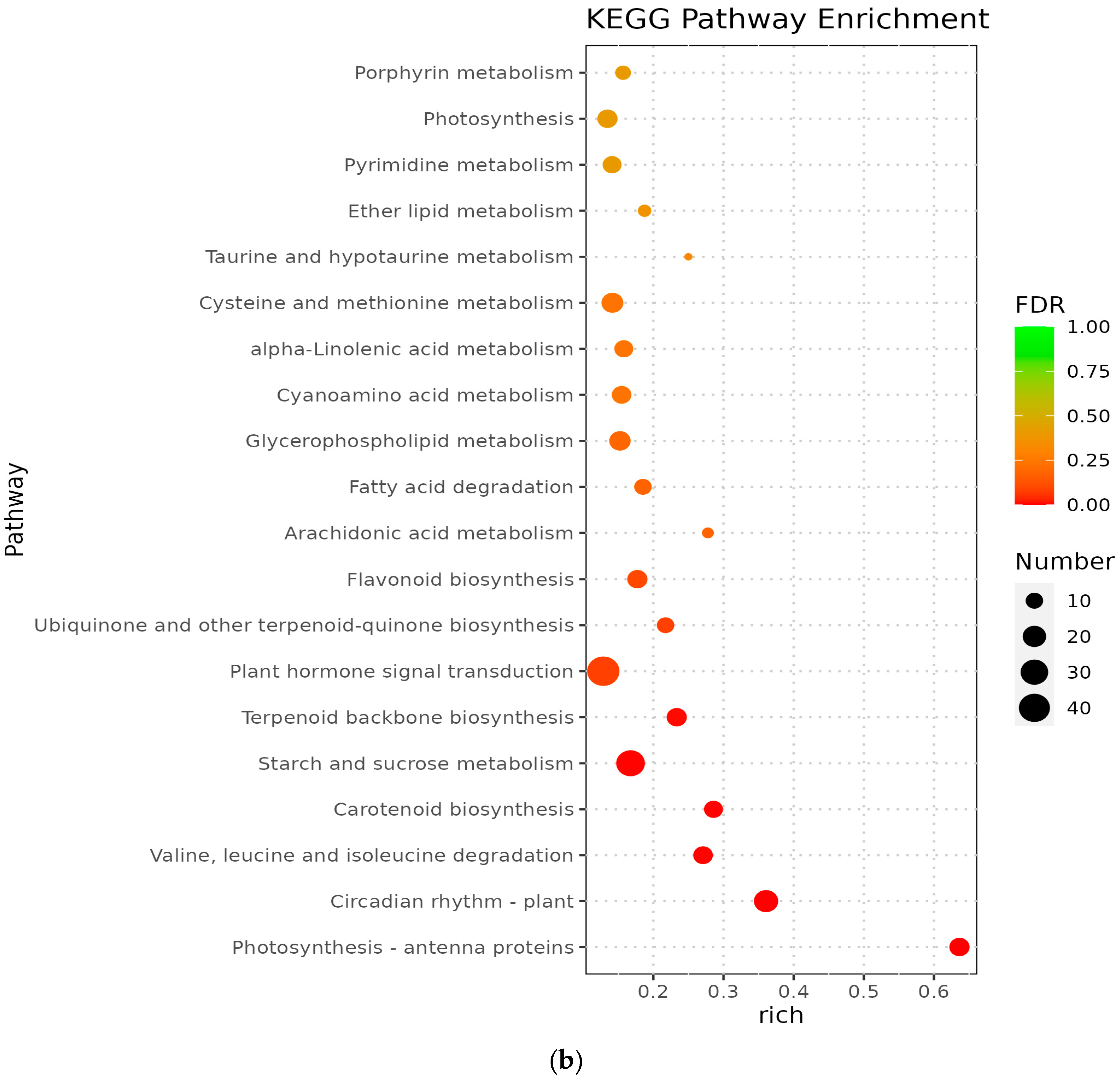 Diversity 15 01020 g005b
