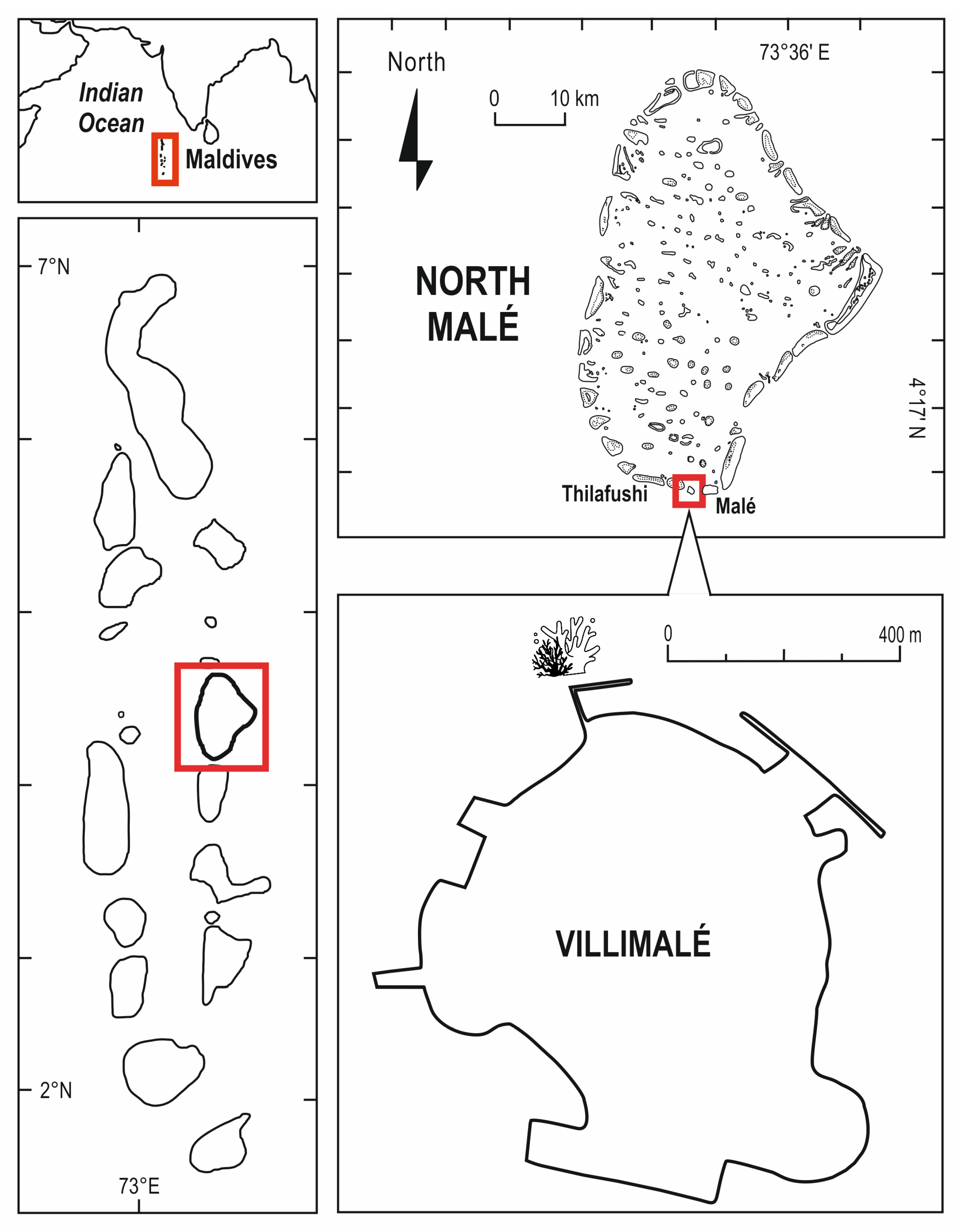 Diversity 15 01022 g001