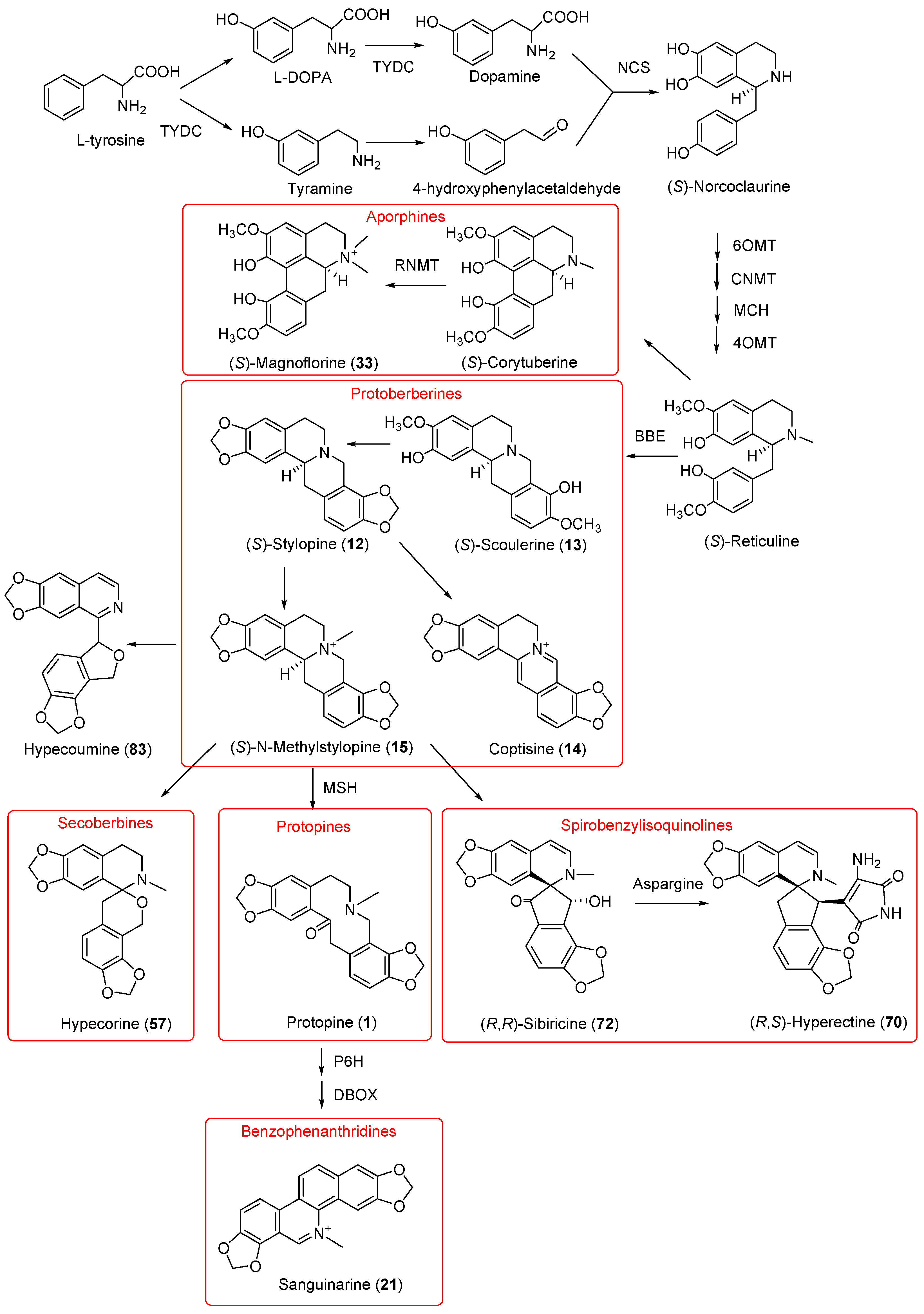 Diversity 15 01023 g001 Diversity 15 01023 g001