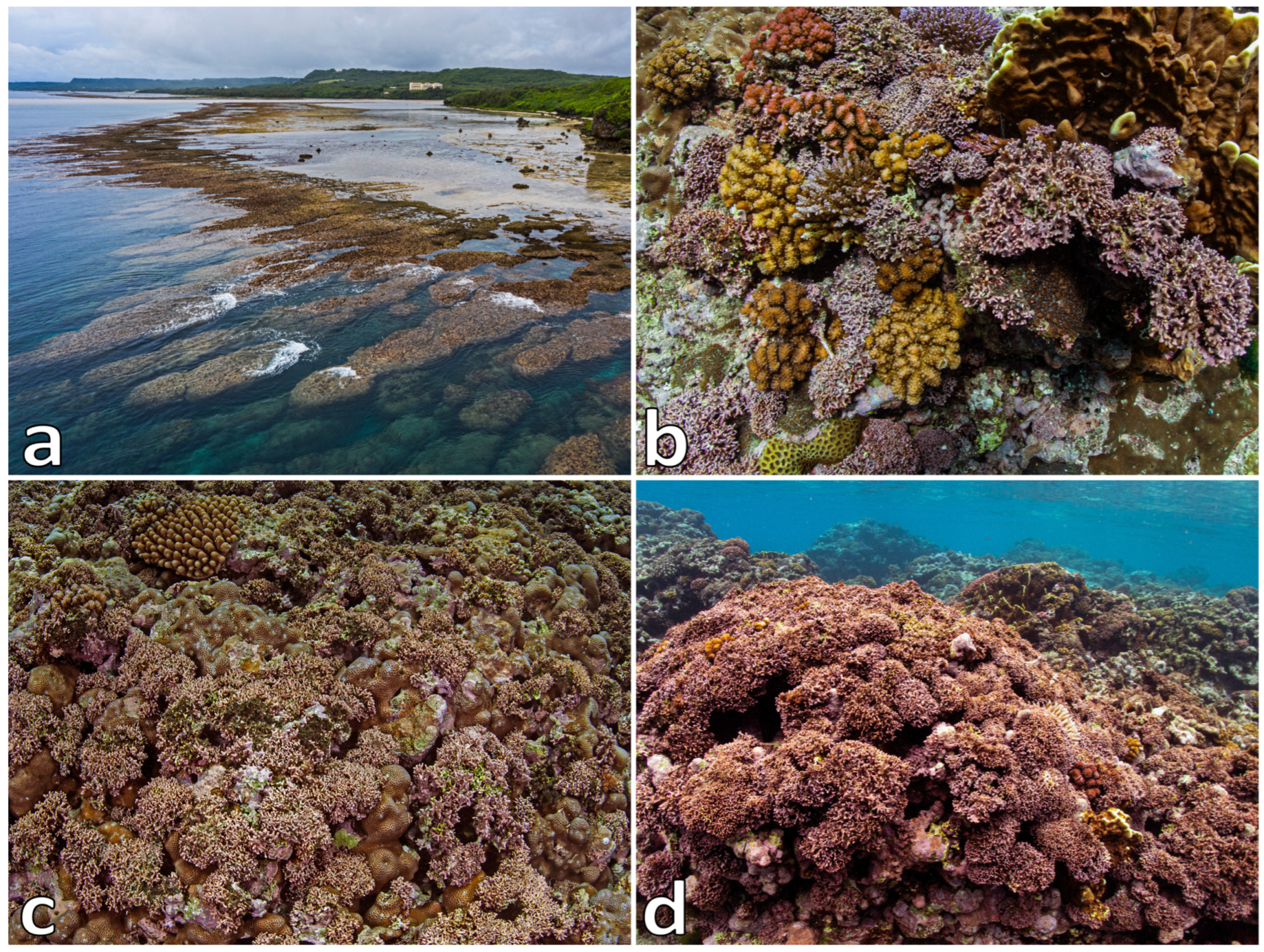 Diversity 15 01025 g001