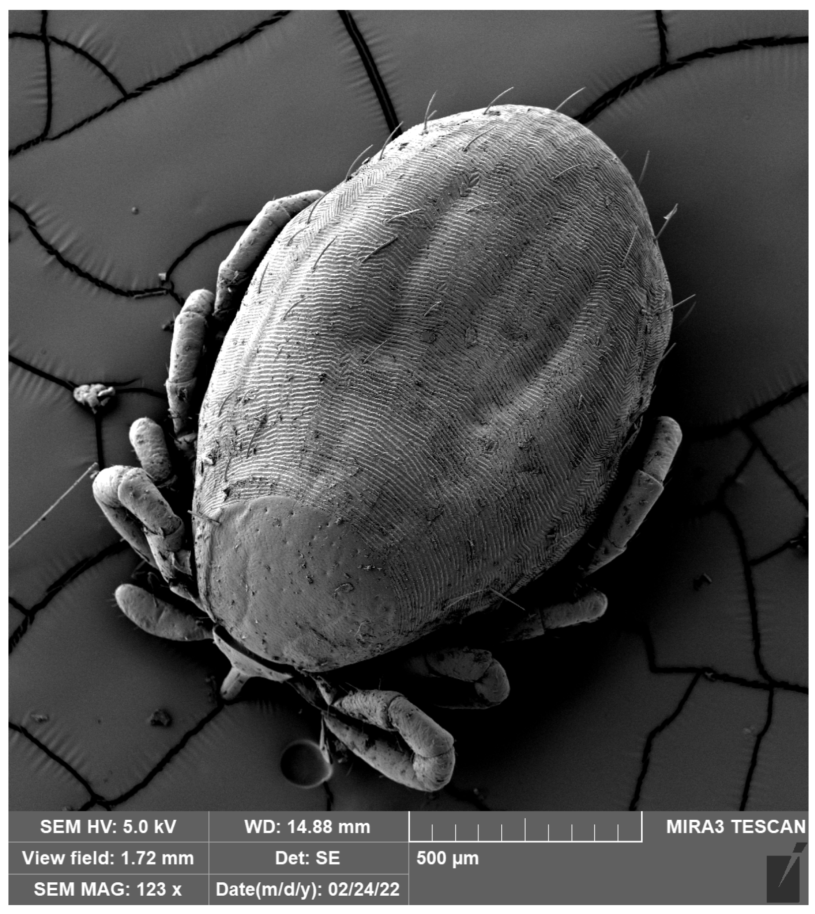 Diversity 15 01026 g003