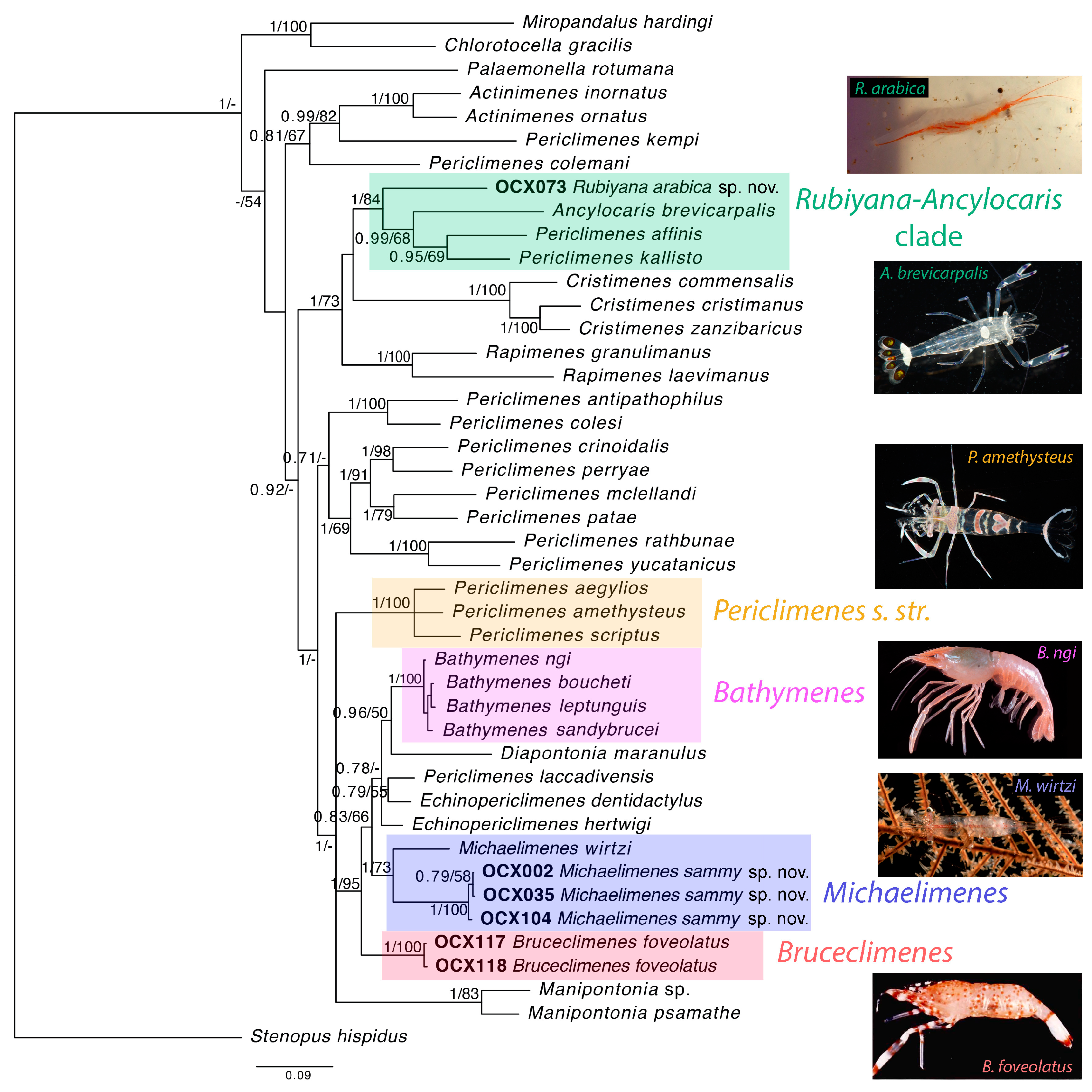 Diversity 15 01028 g002