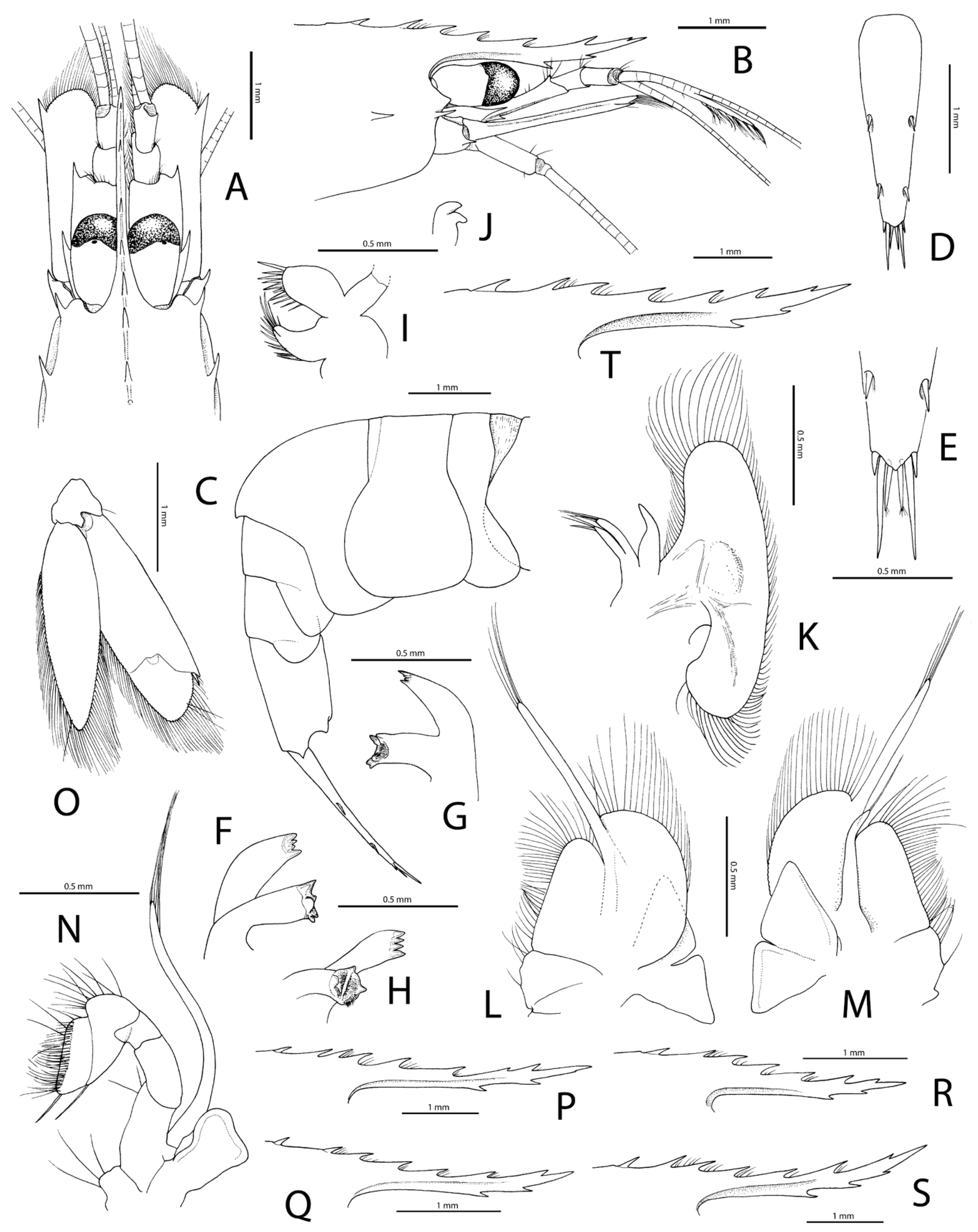 Diversity 15 01028 g004