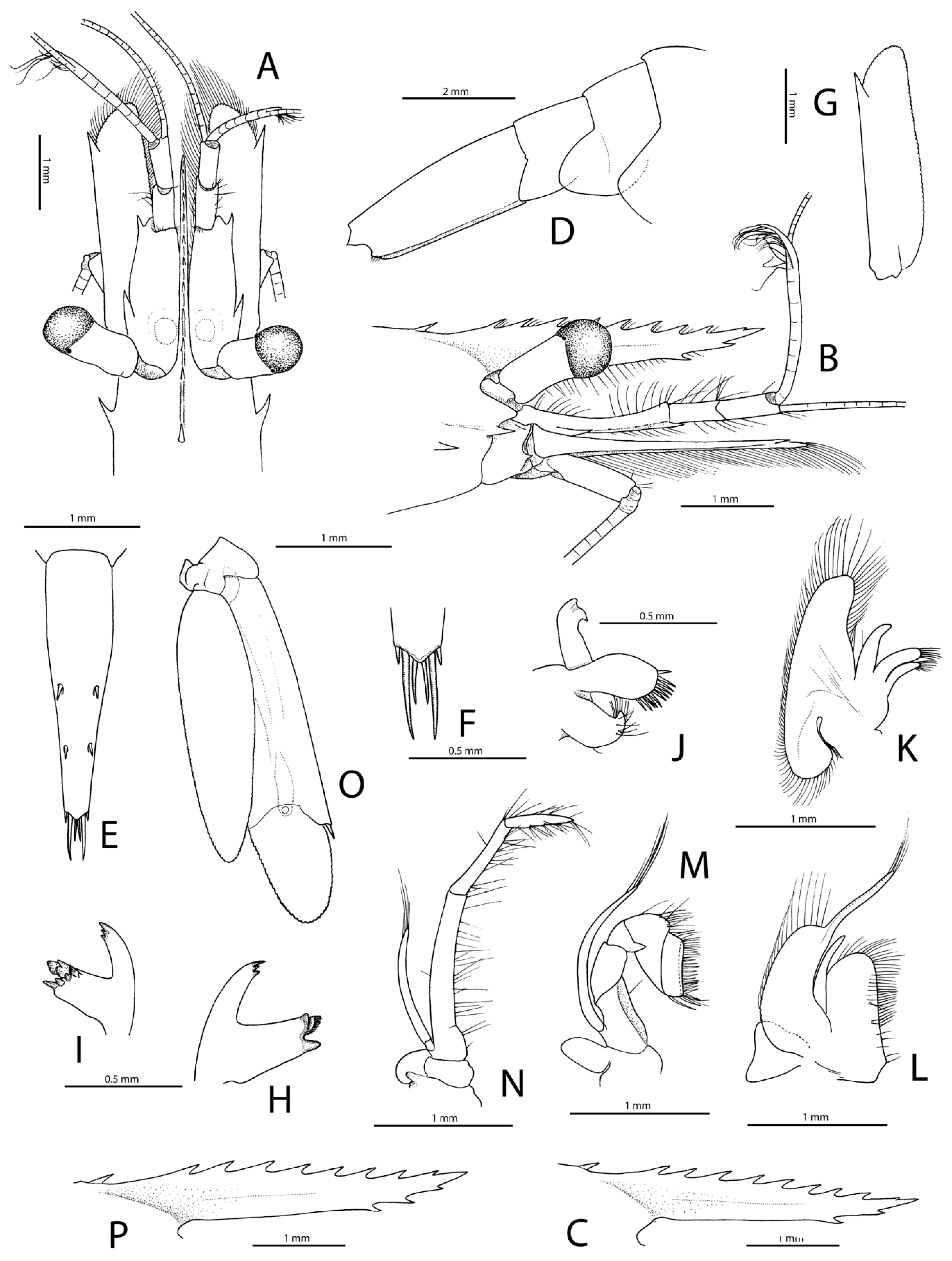 Diversity 15 01028 g007