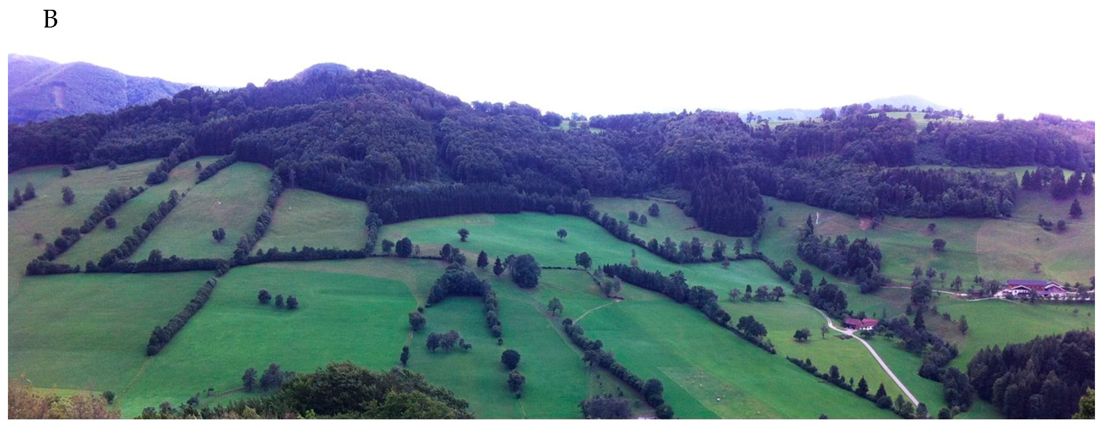 Diversity 15 01031 g001b Diversity 15 01031 g001b