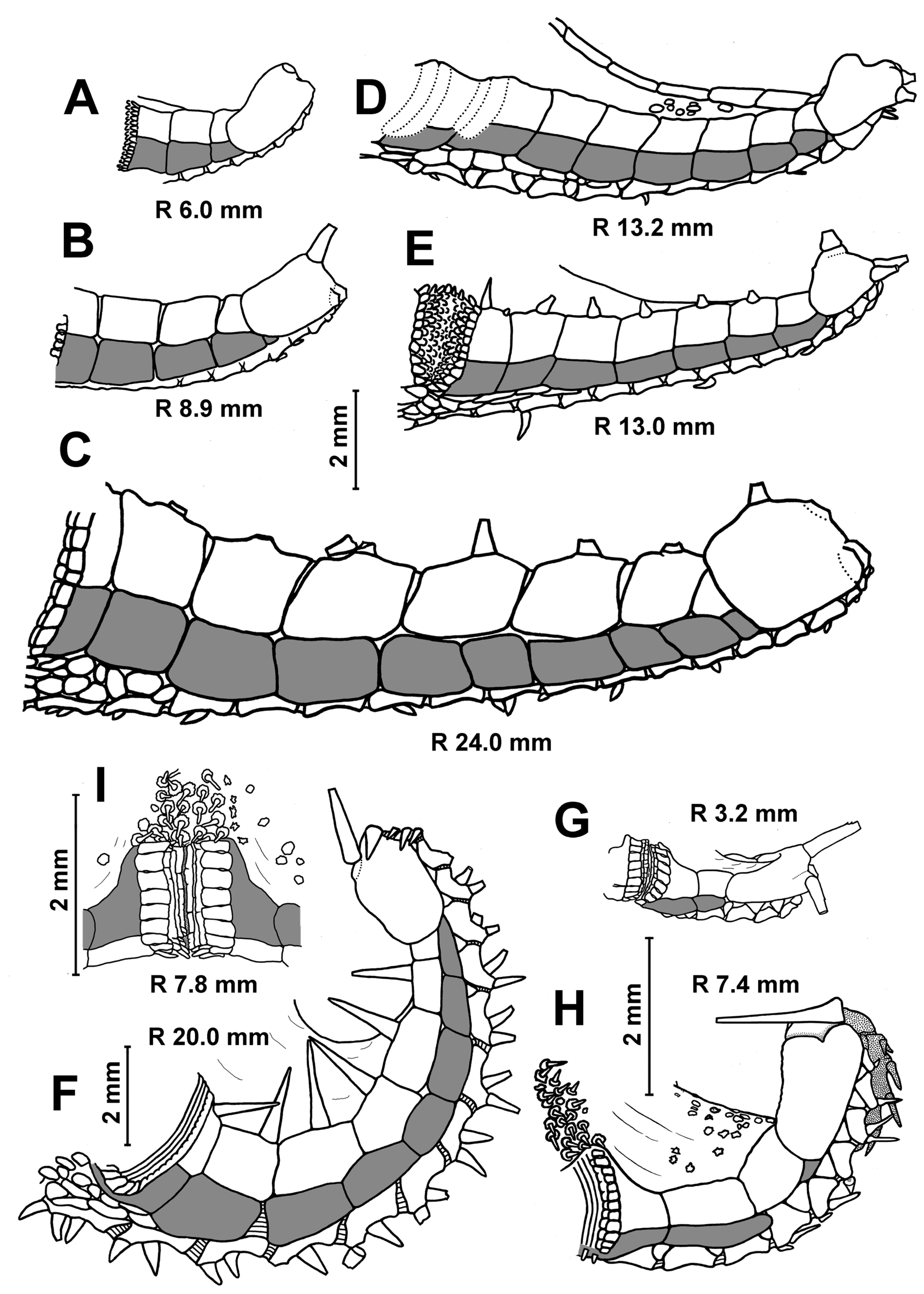 Diversity 15 01032 g004