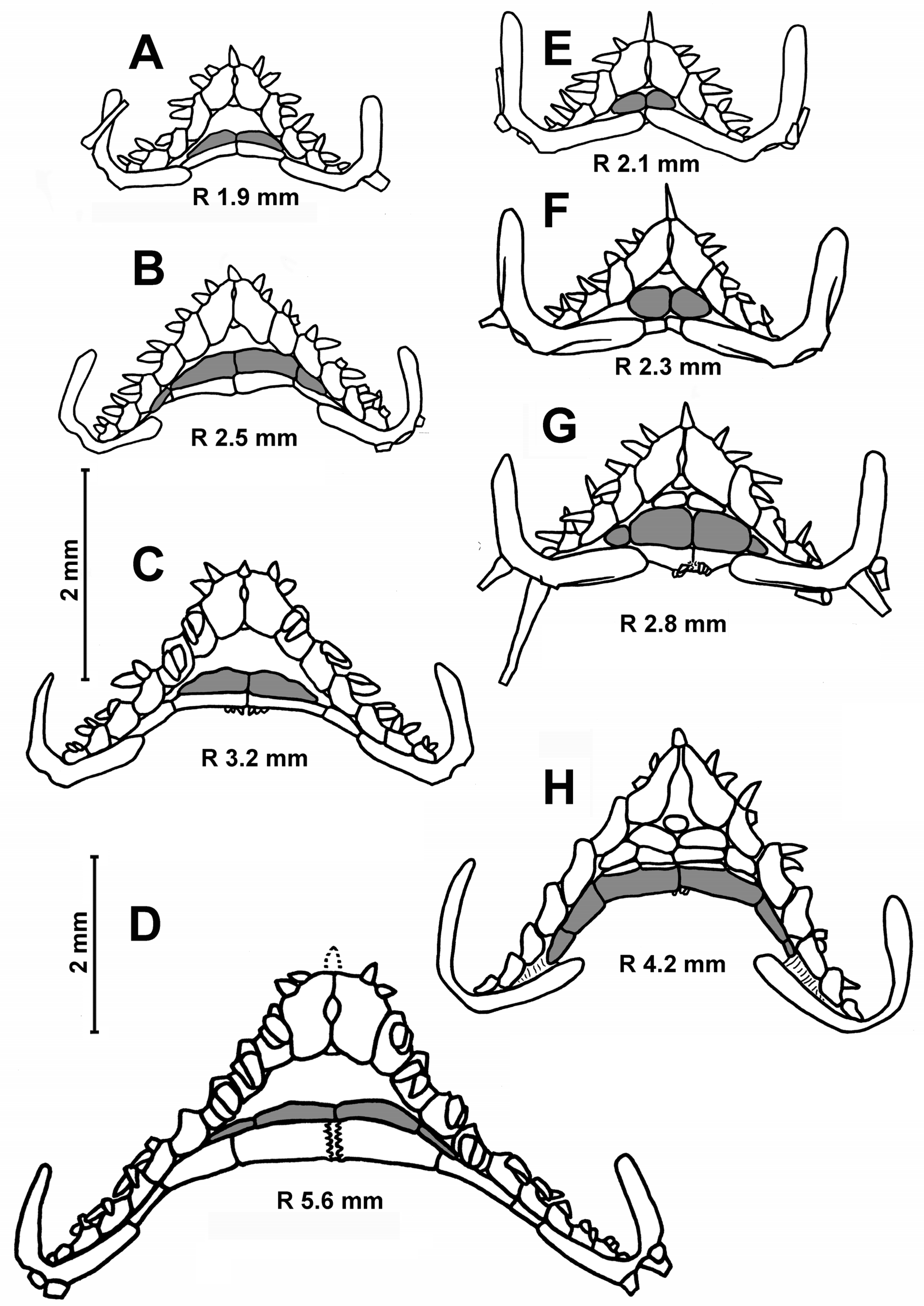 Diversity 15 01032 g007