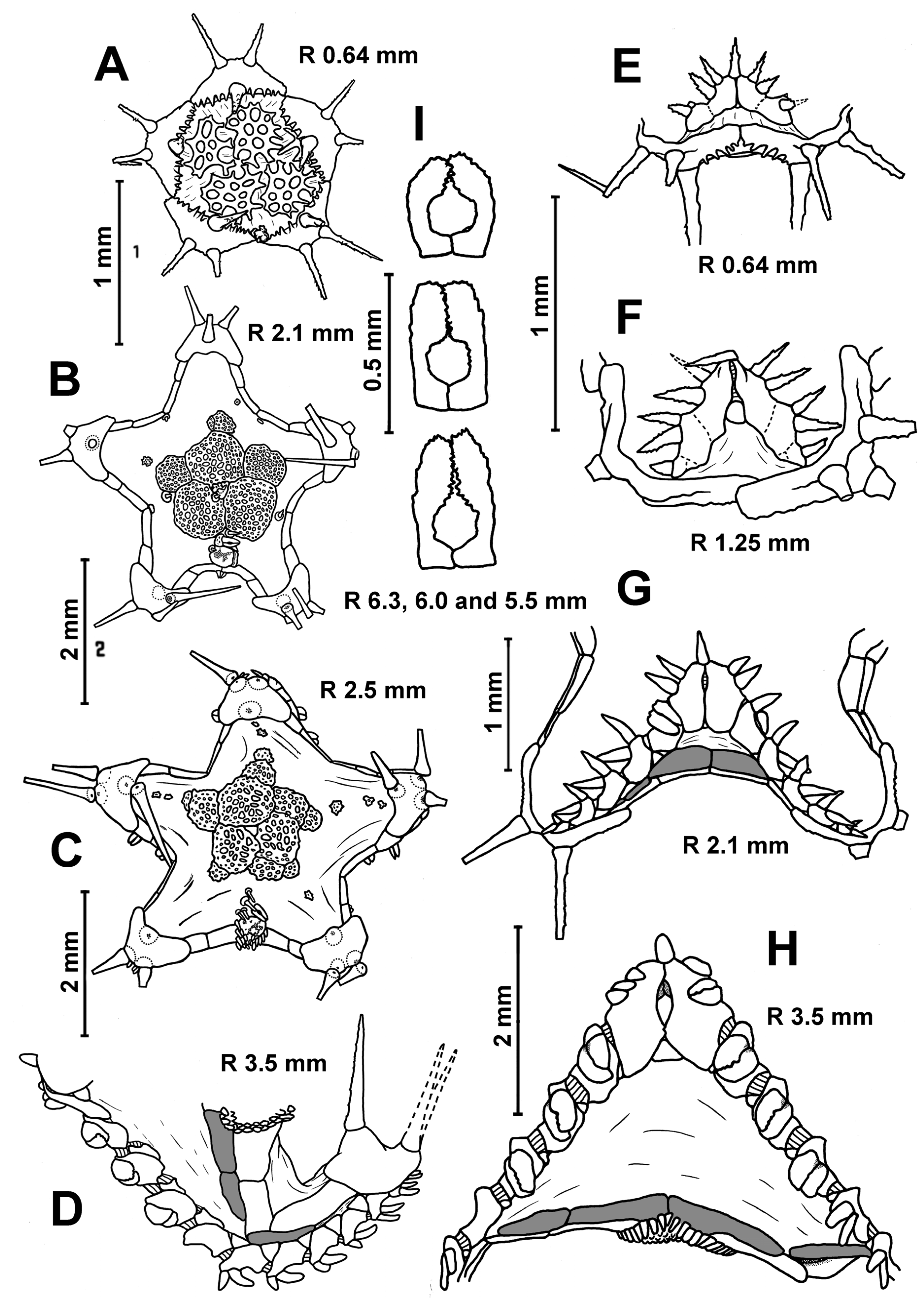Diversity 15 01032 g009