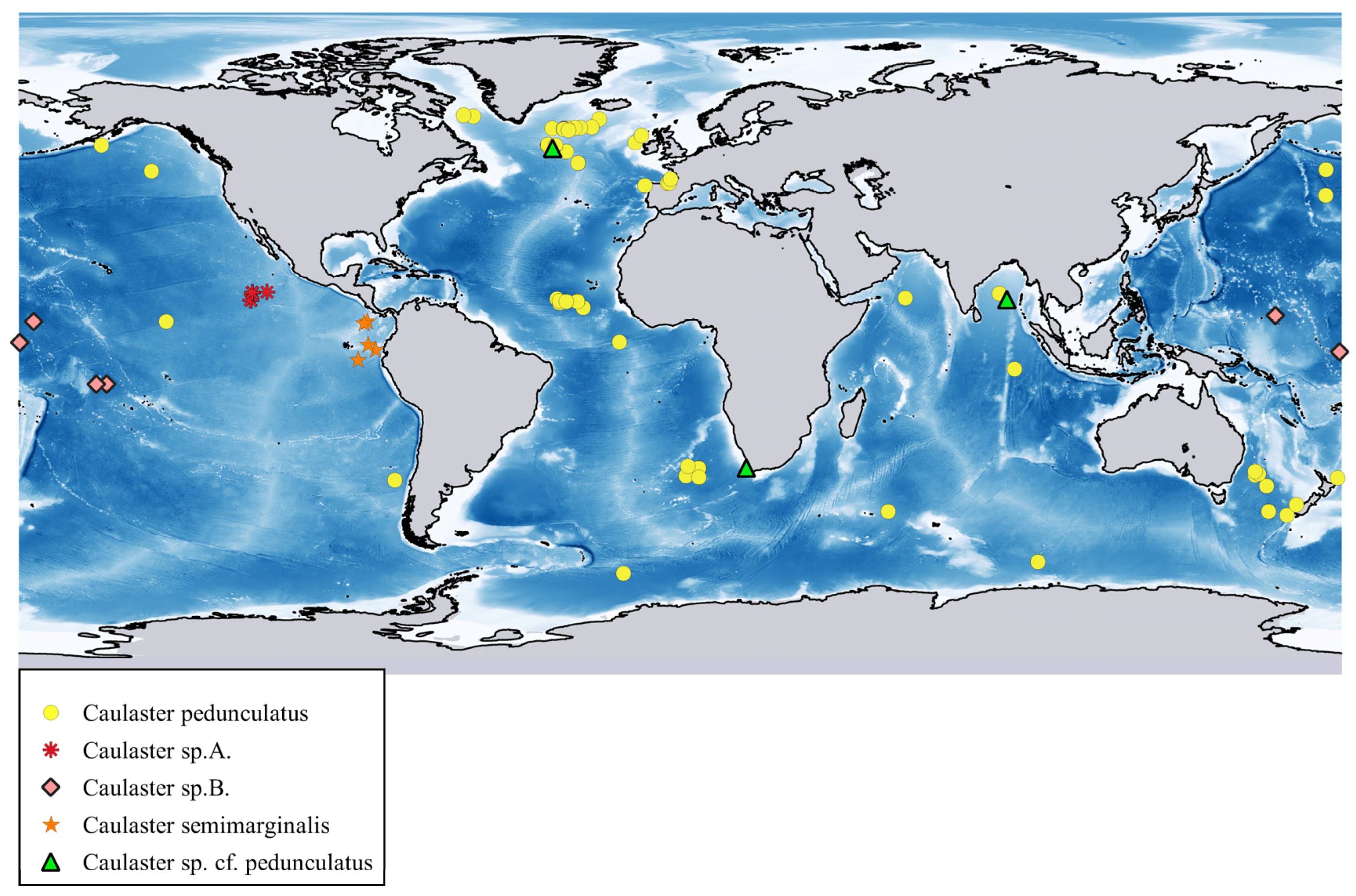 Diversity 15 01032 g010