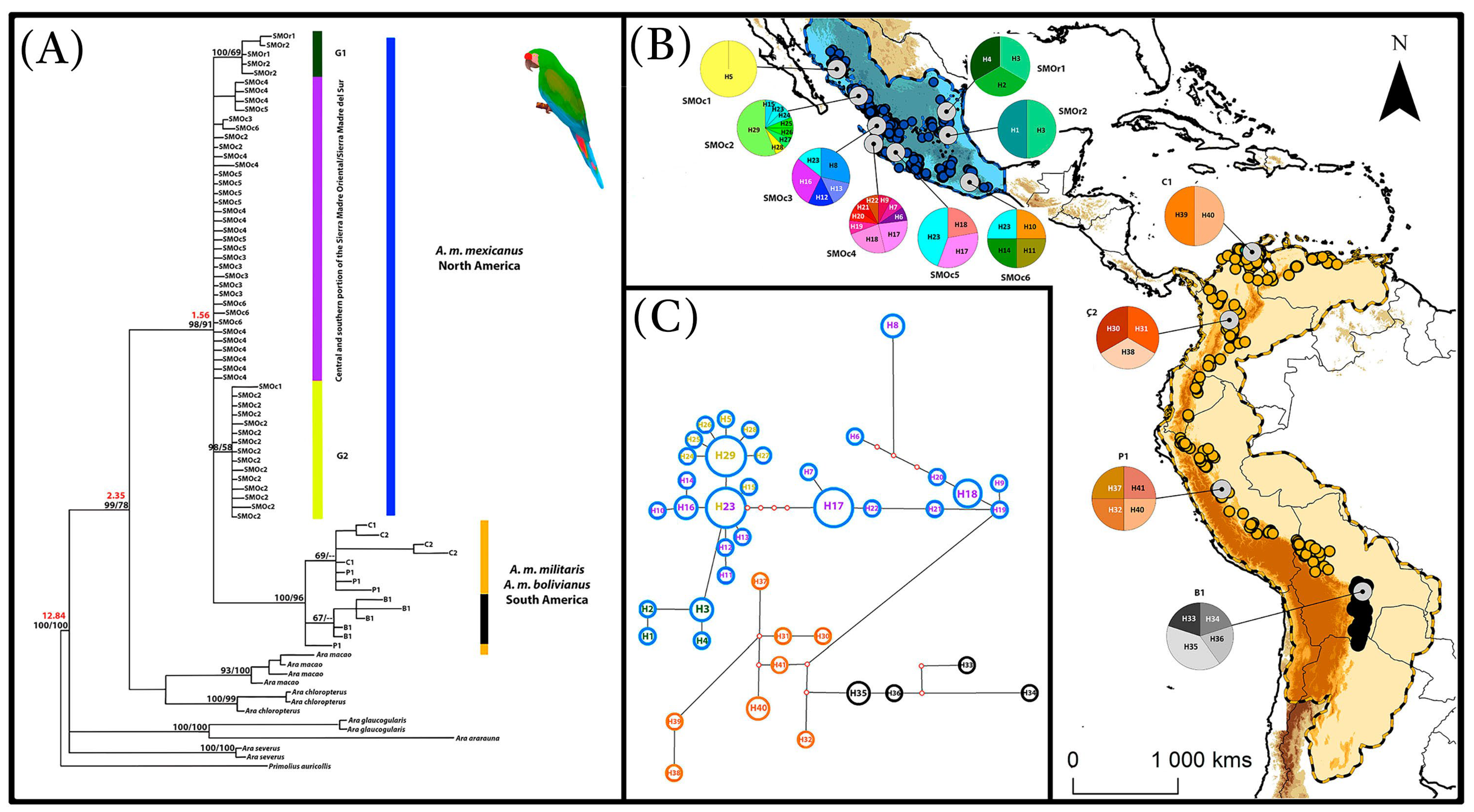 Diversity 15 01035 g001