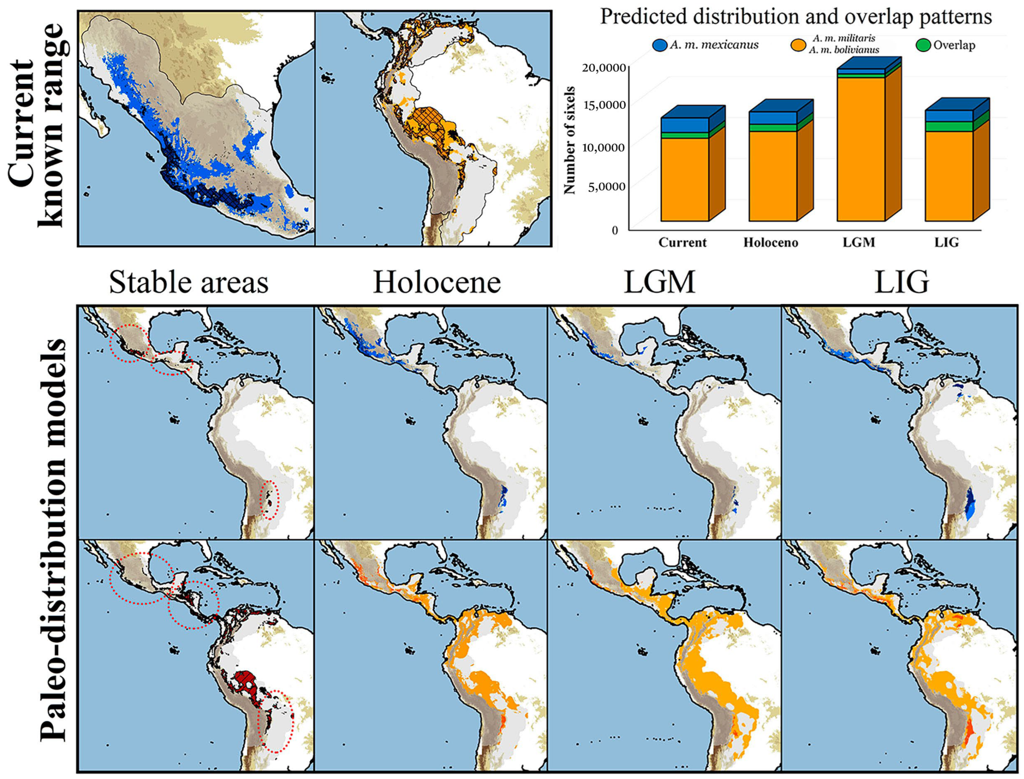 Diversity 15 01035 g003