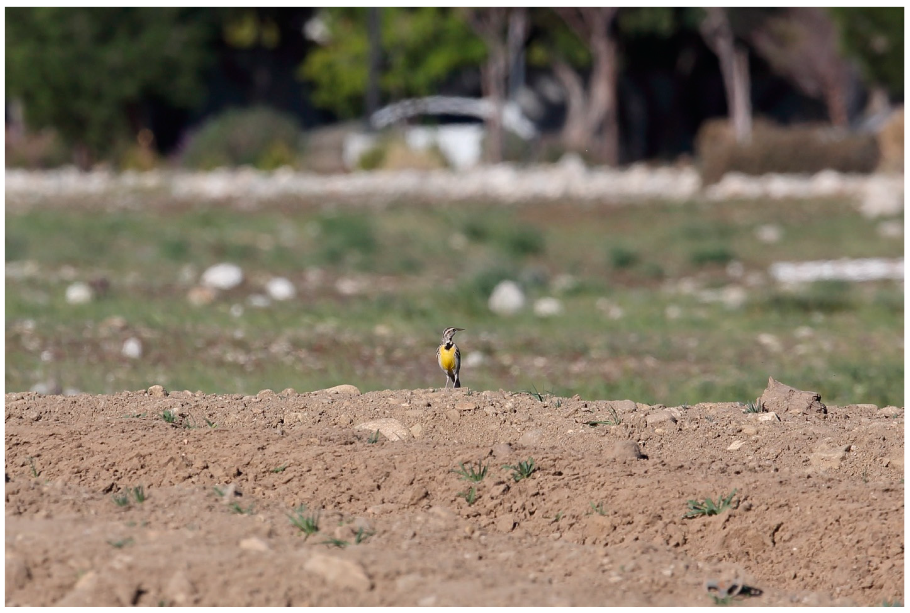 Diversity 15 01037 g003