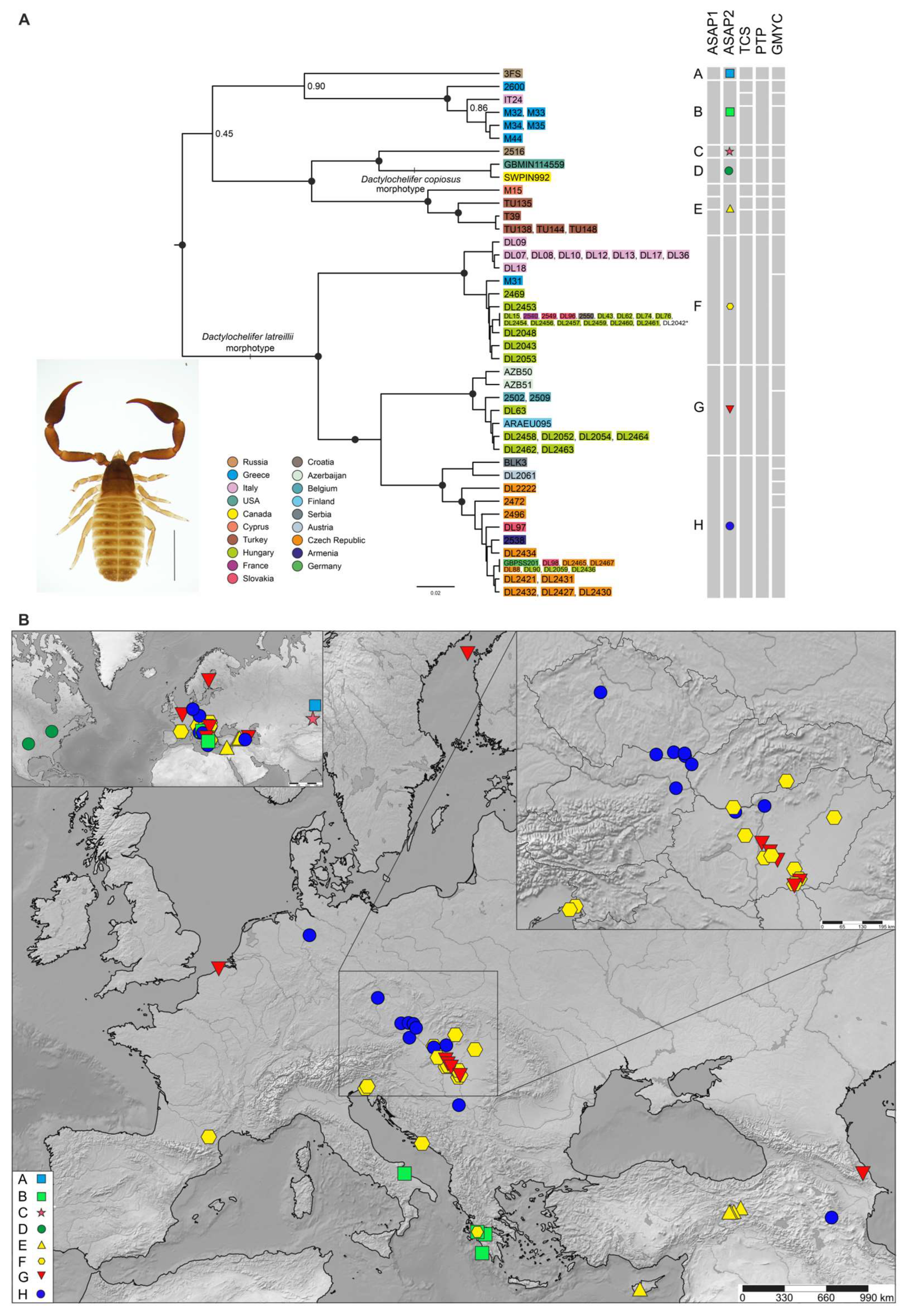 Diversity 15 01040 g003
