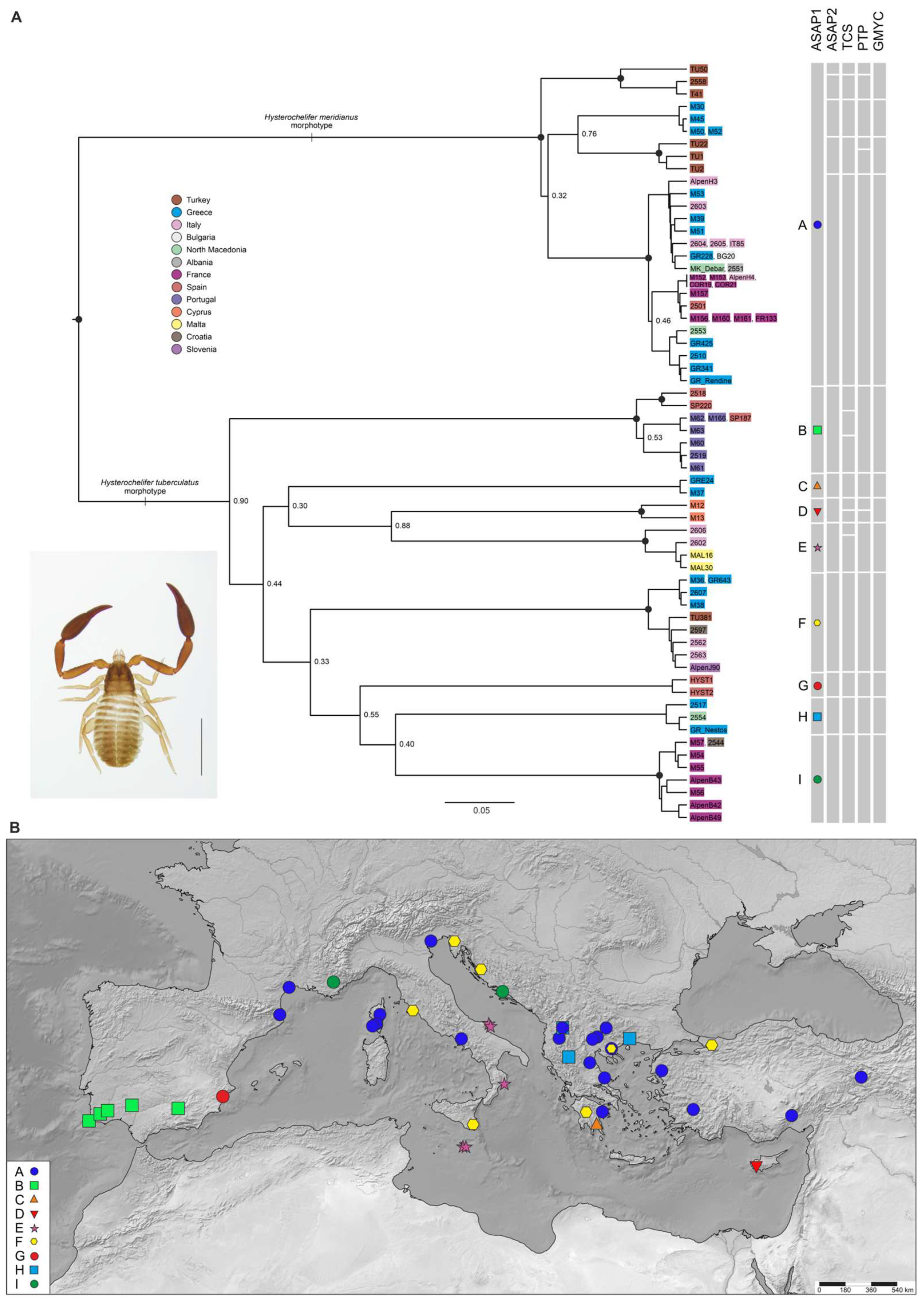 Diversity 15 01040 g004