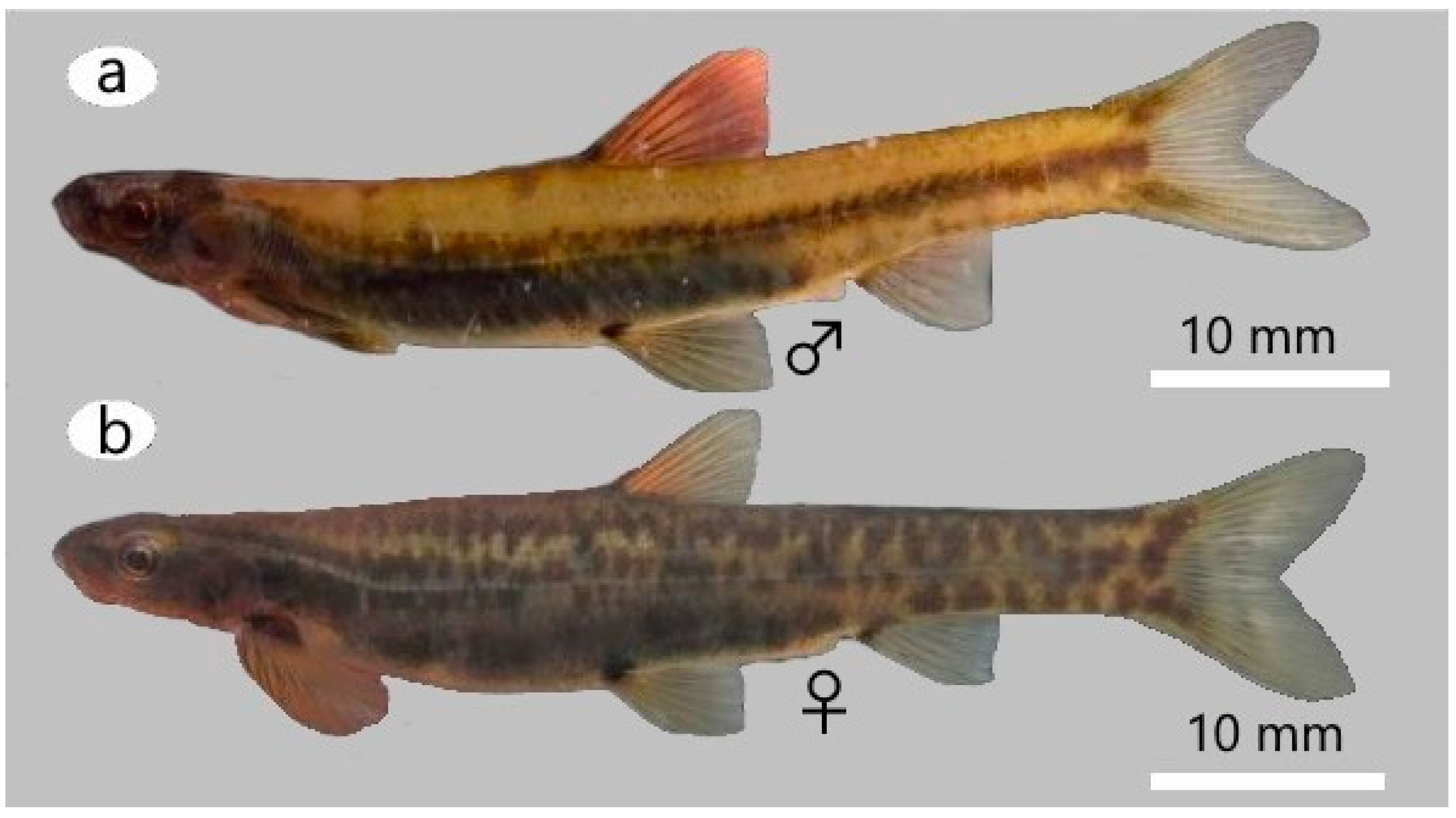 Diversity 15 01044 g016