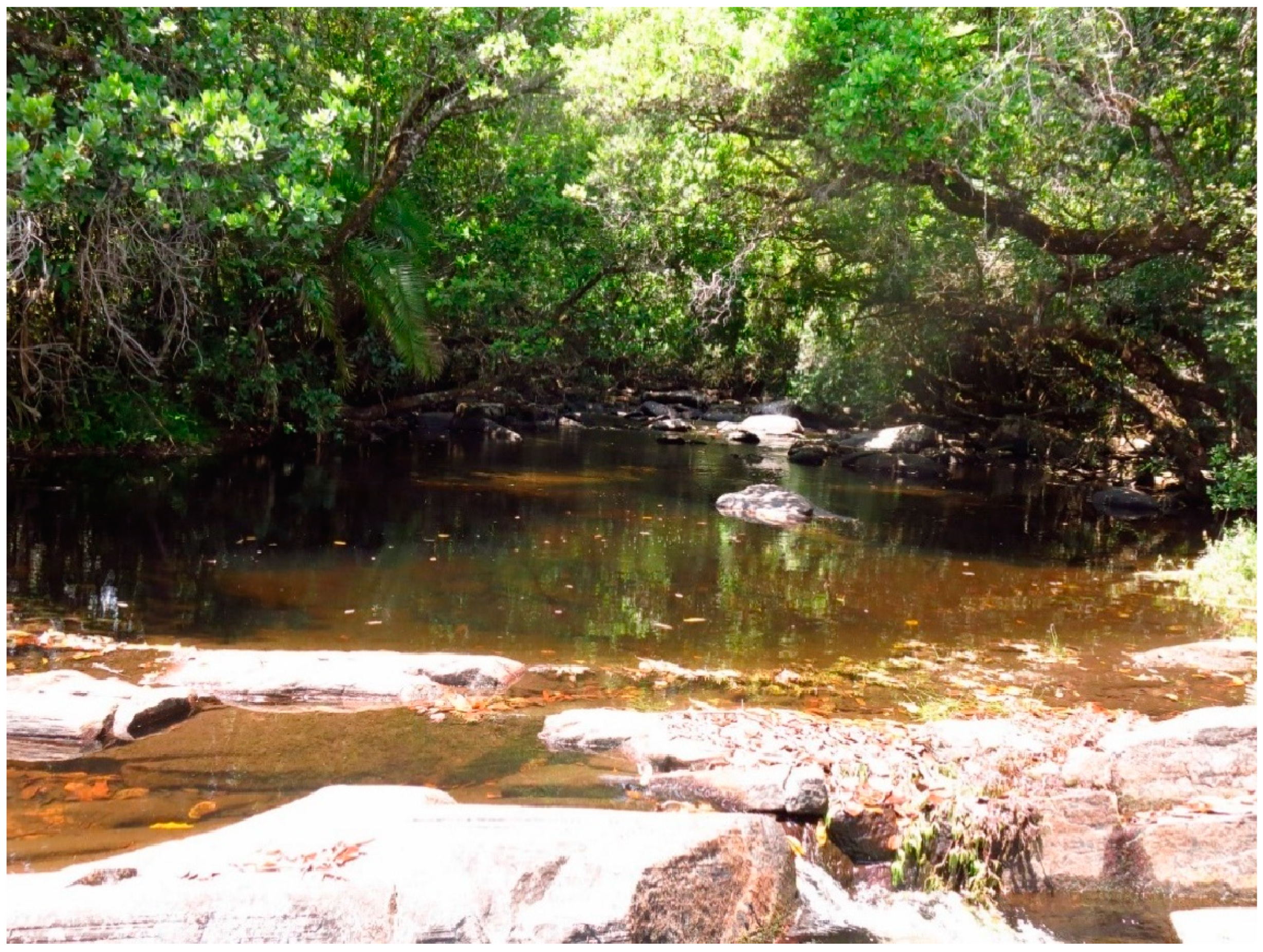 Diversity 15 01044 g018