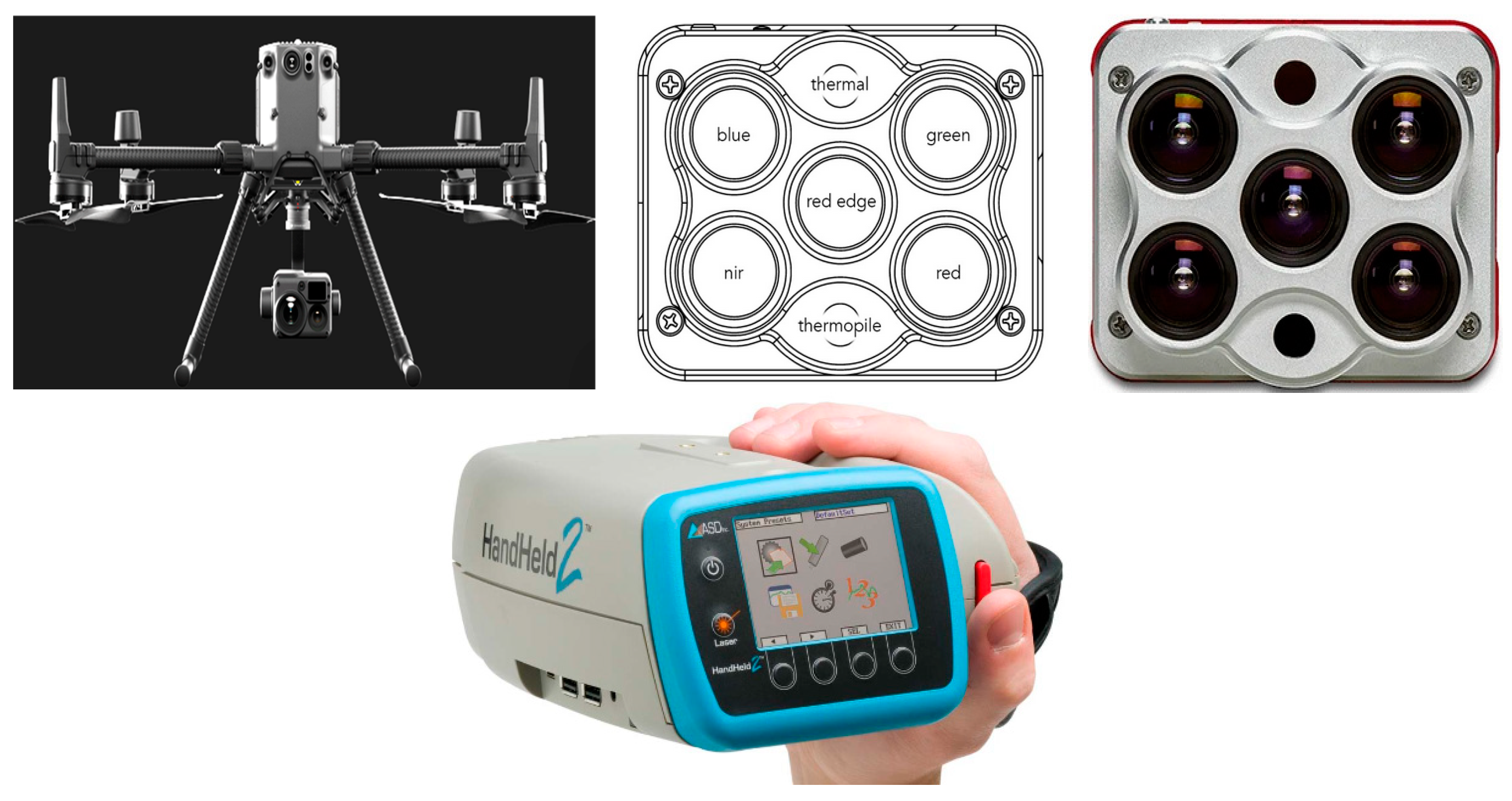 Diversity 15 01046 g003 Diversity 15 01046 g003