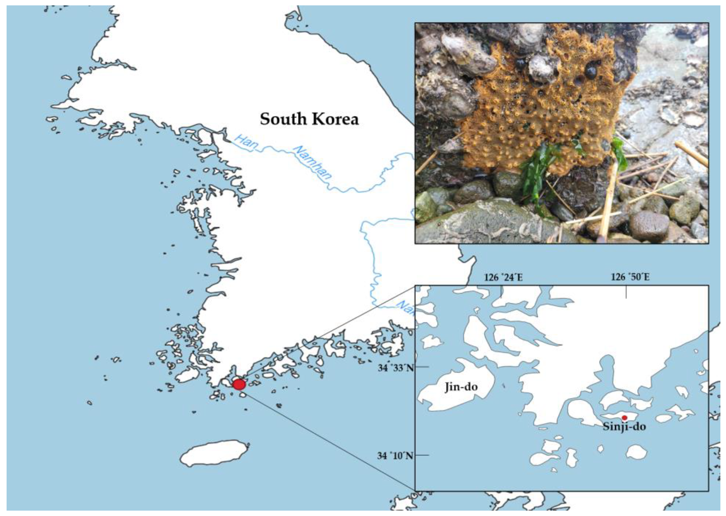 Diversity 15 01047 g001