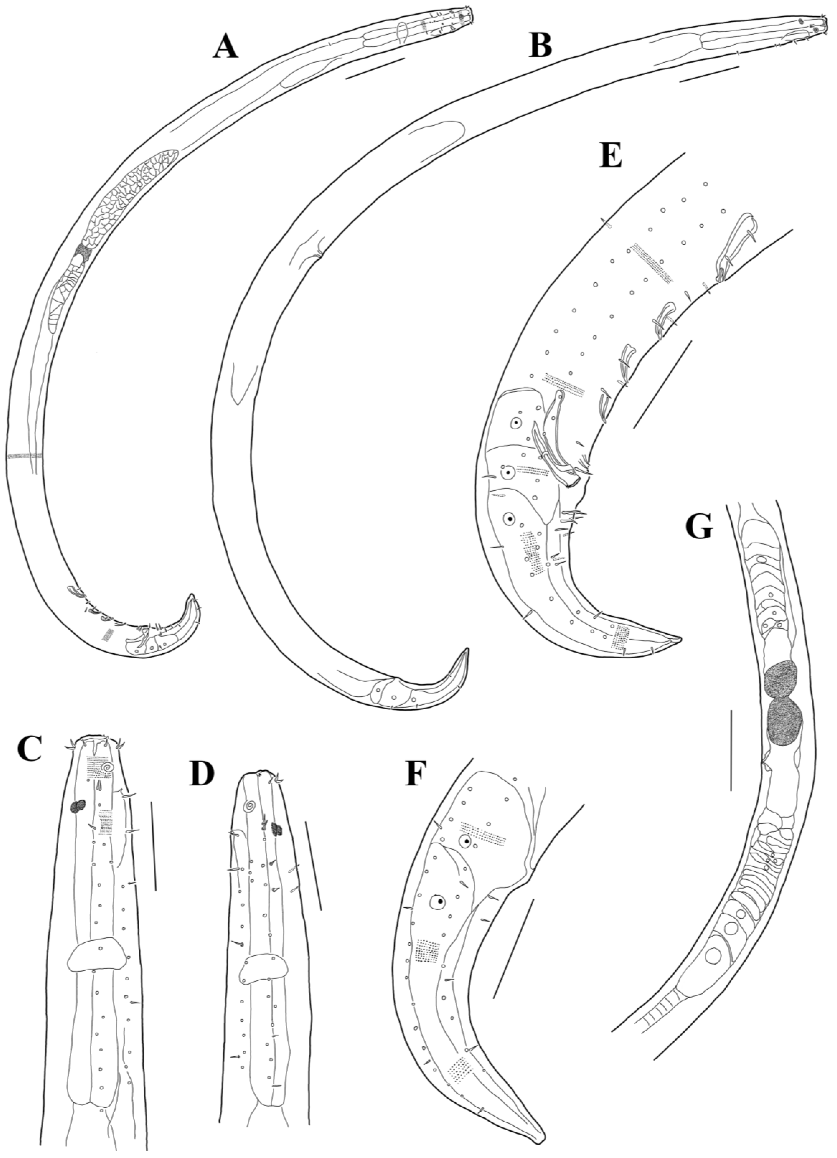Diversity 15 01047 g002