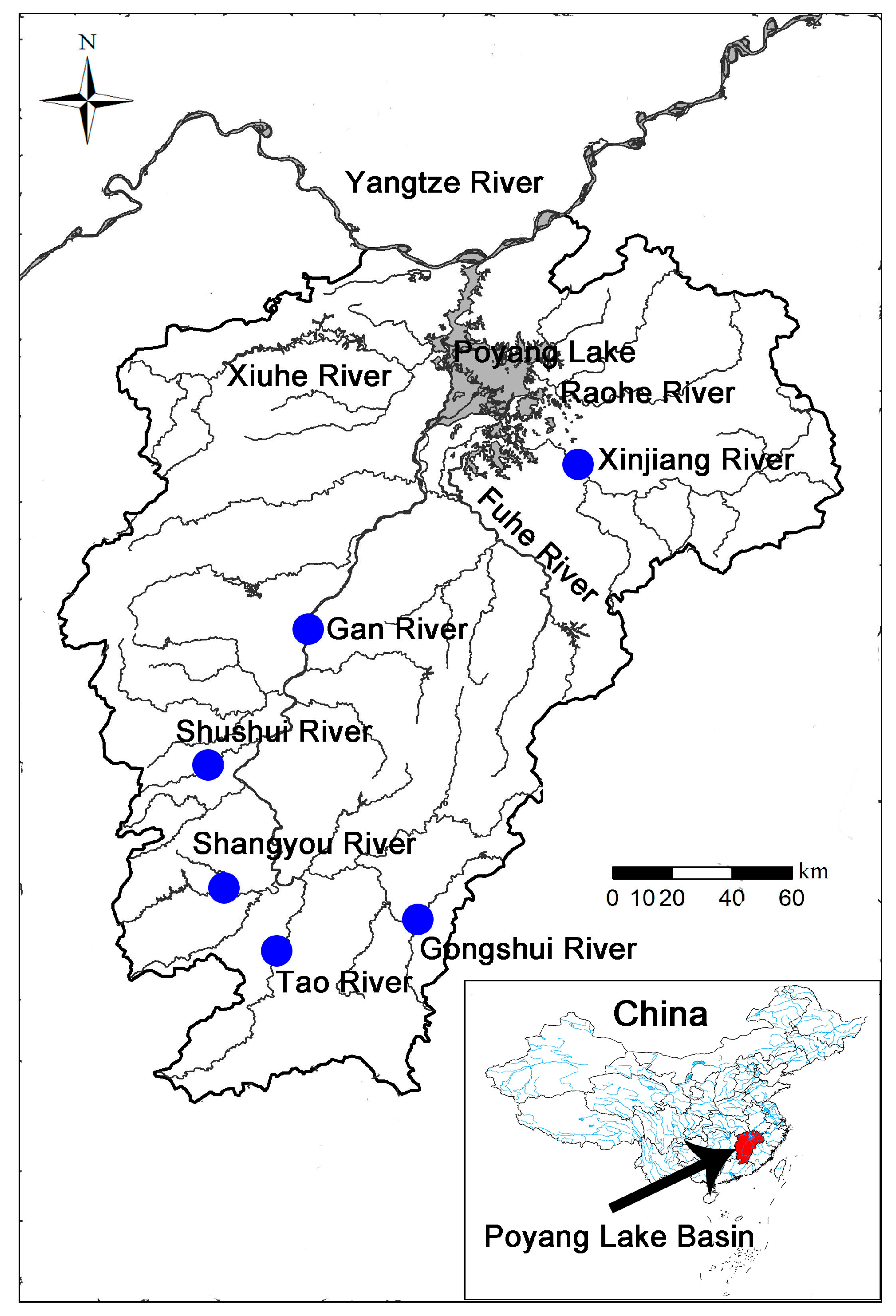 Diversity 15 01048 g001