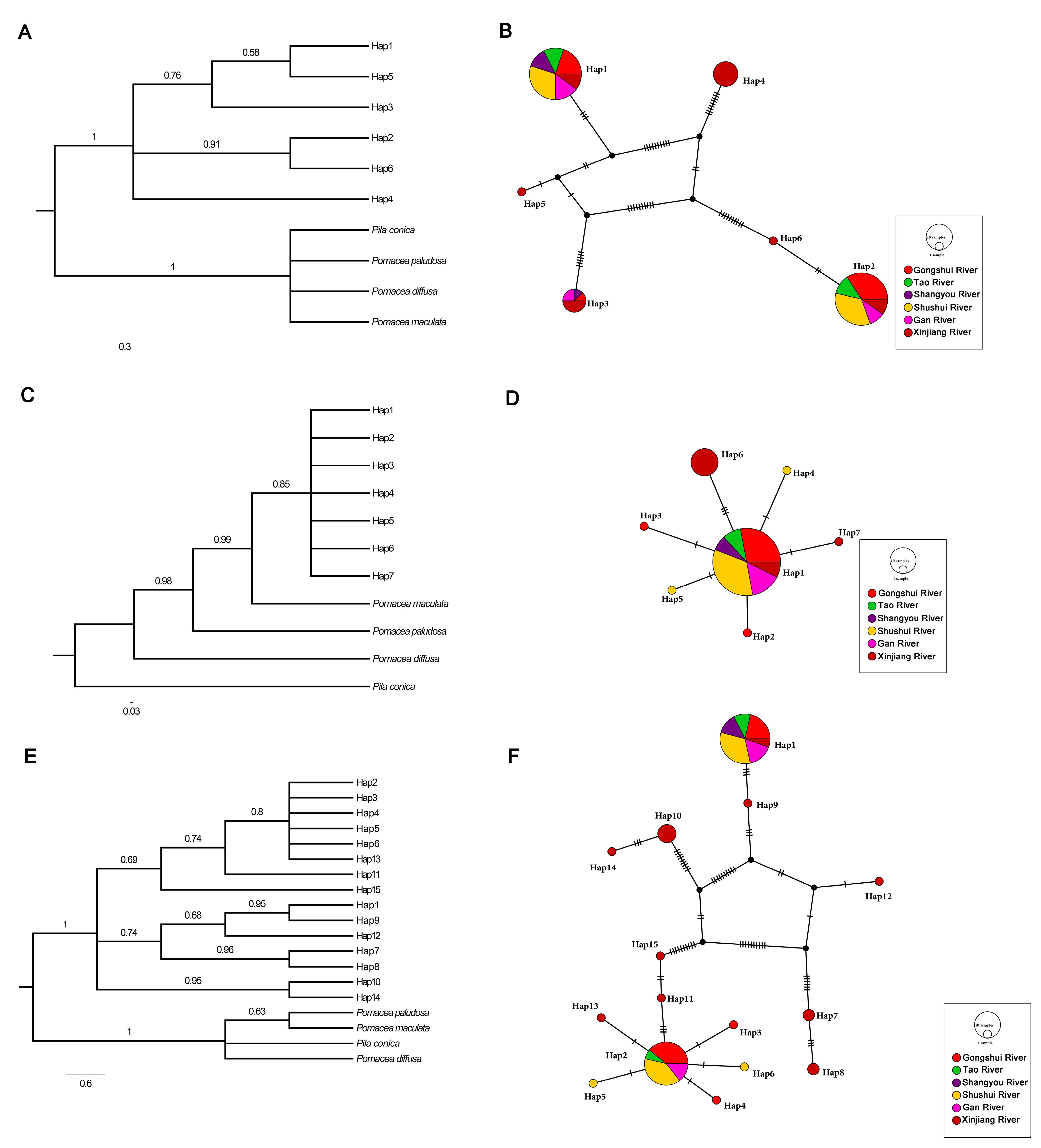 Diversity 15 01048 g002