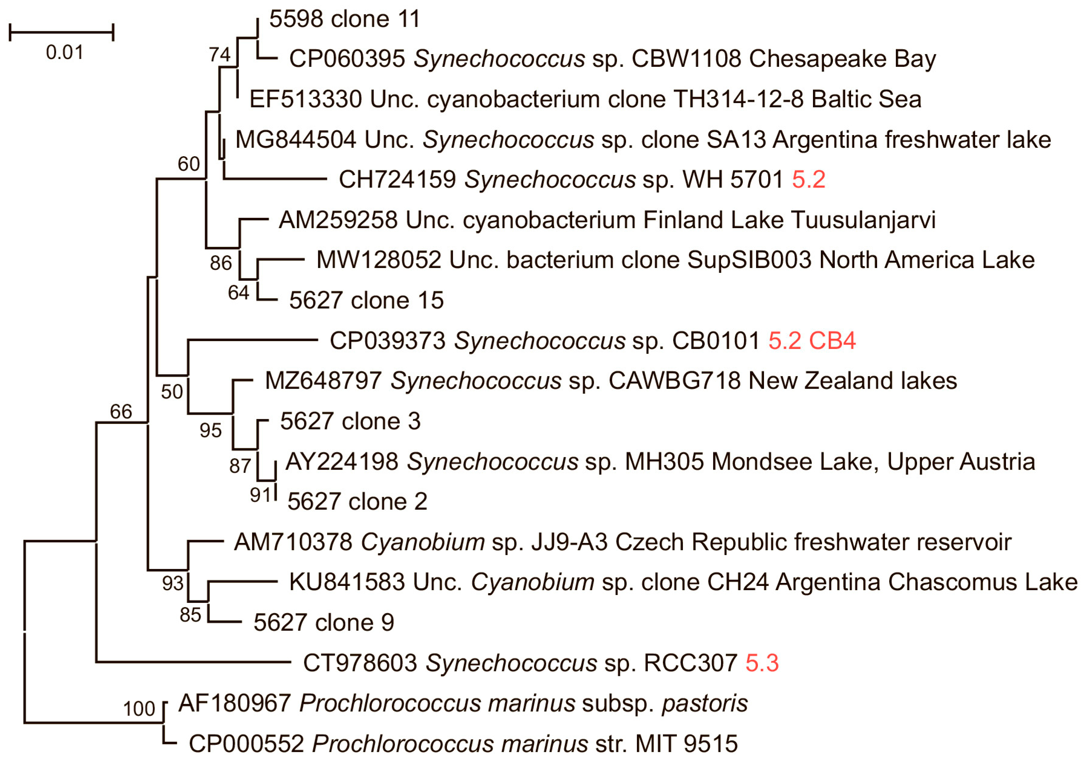 Diversity 15 01049 g004 Diversity 15 01049 g004