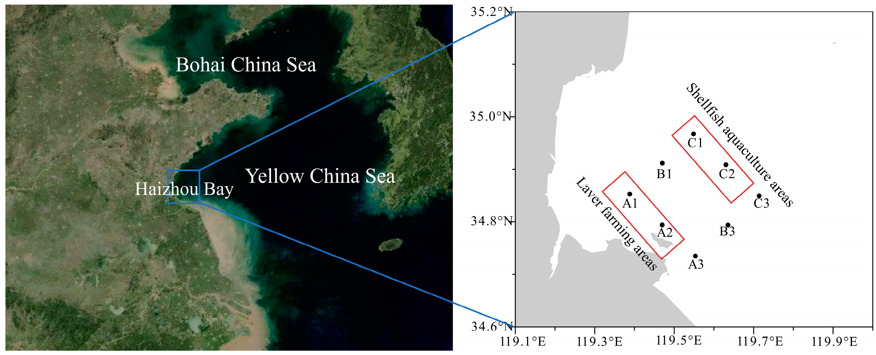 Diversity 15 01051 g001 Diversity 15 01051 g001