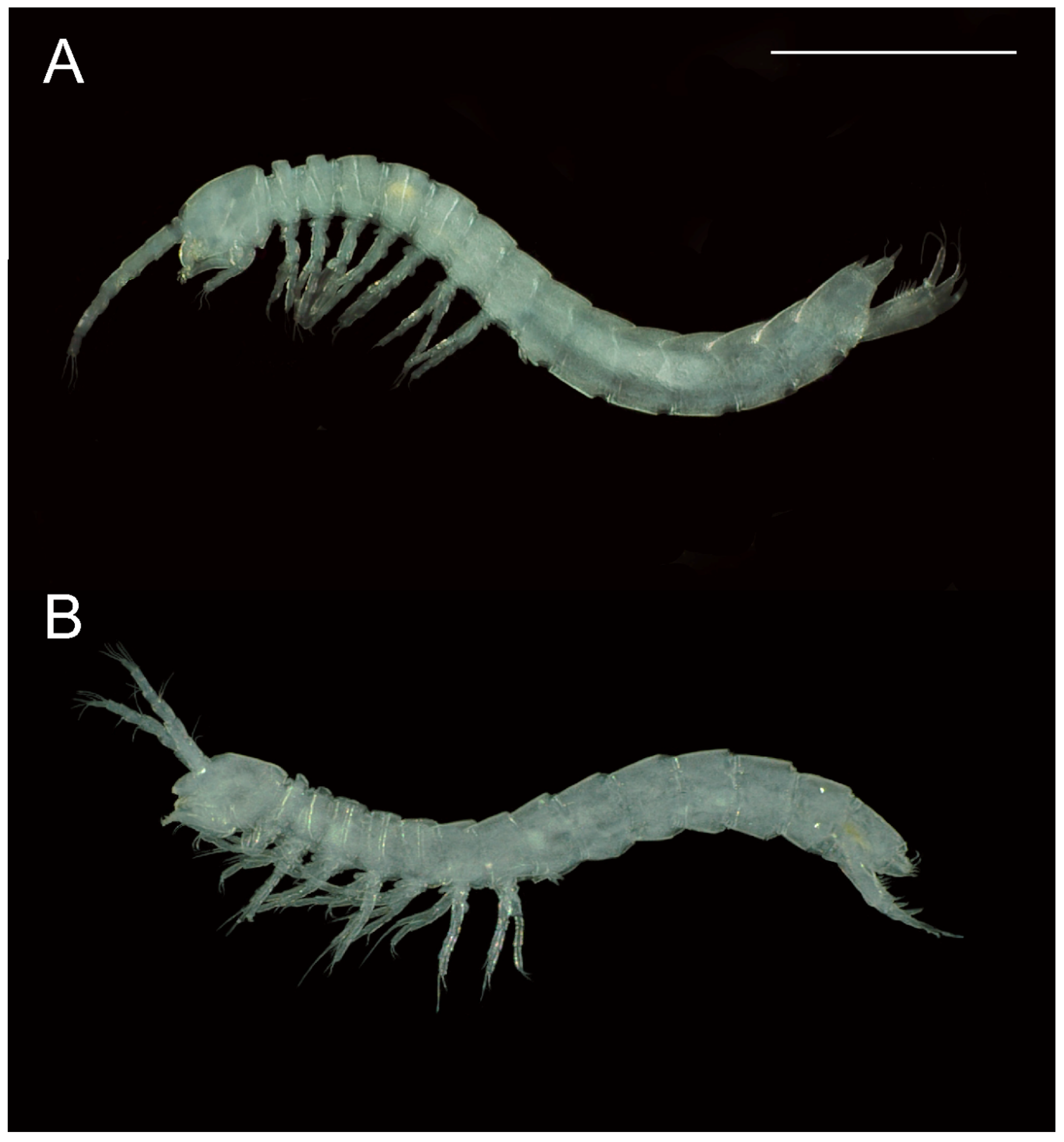 Diversity 15 01052 g002