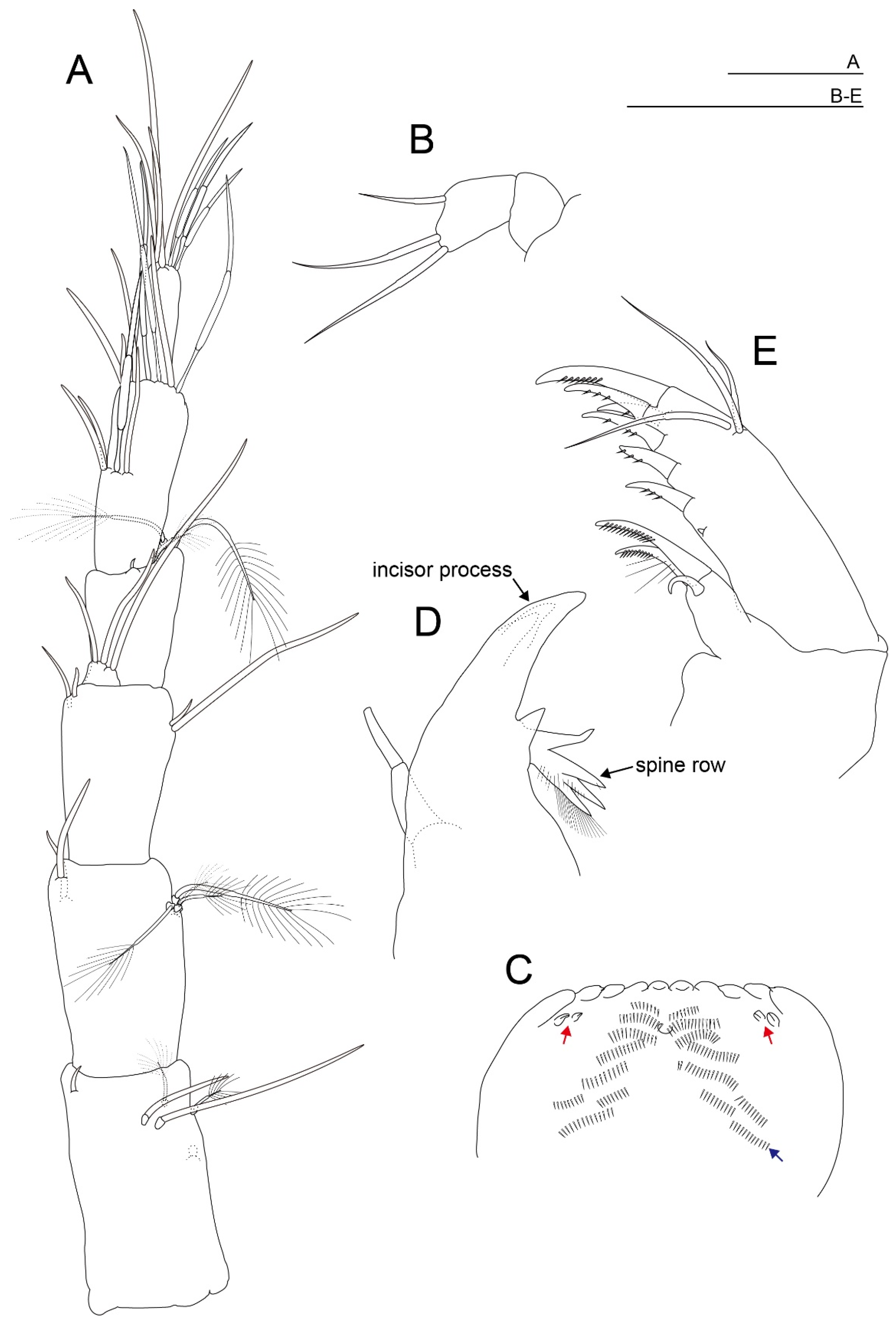 Diversity 15 01052 g003