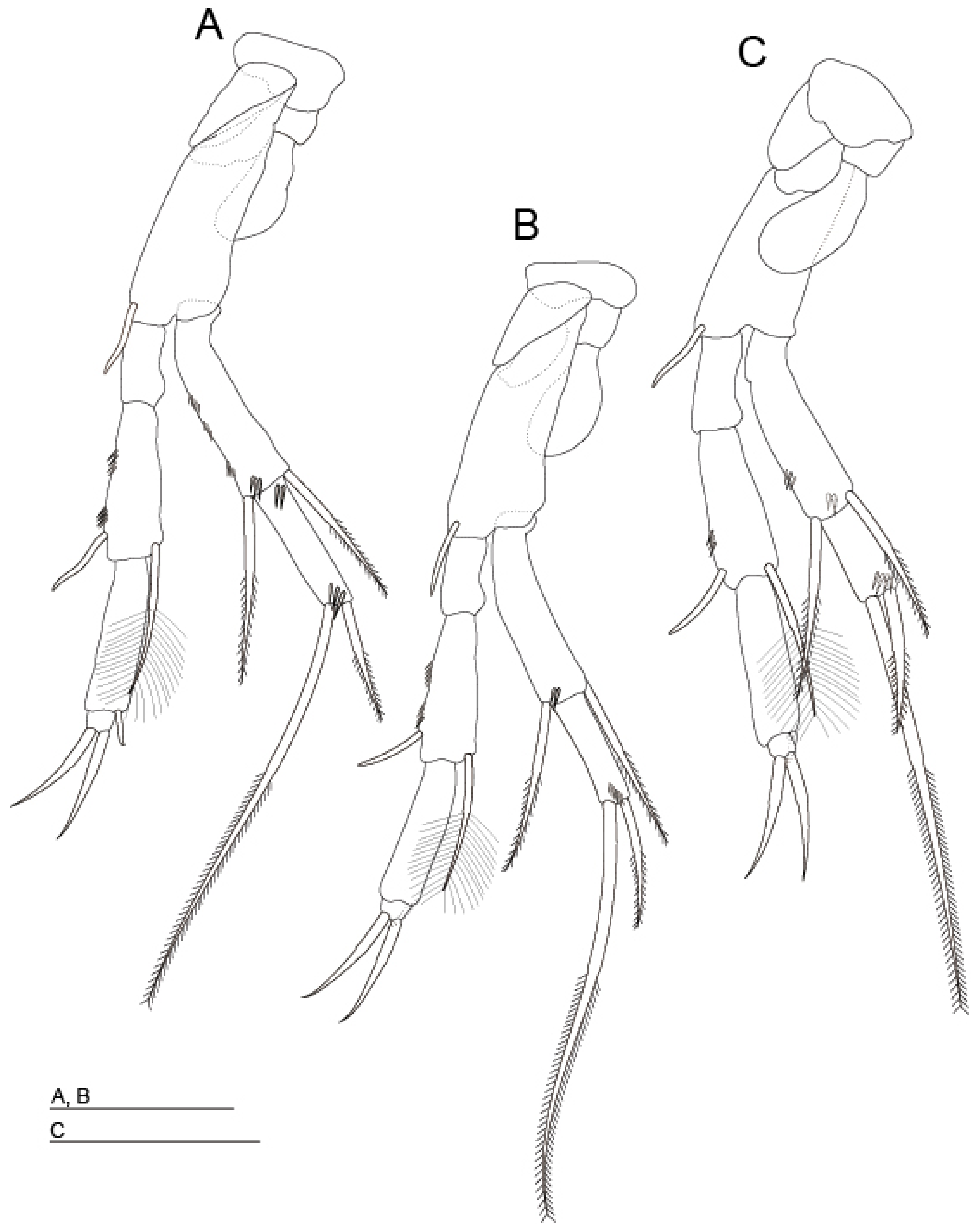 Diversity 15 01052 g005