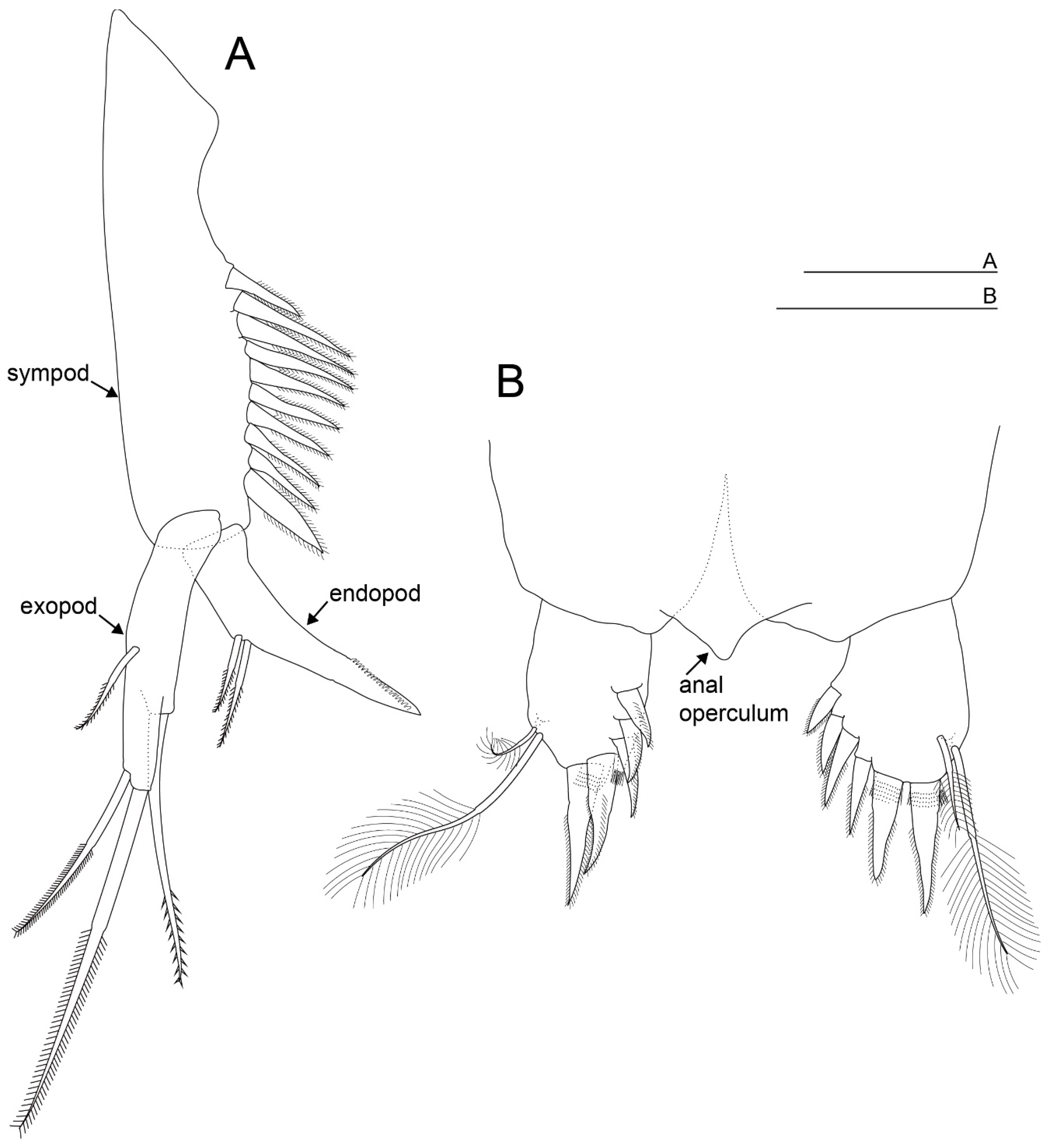 Diversity 15 01052 g007