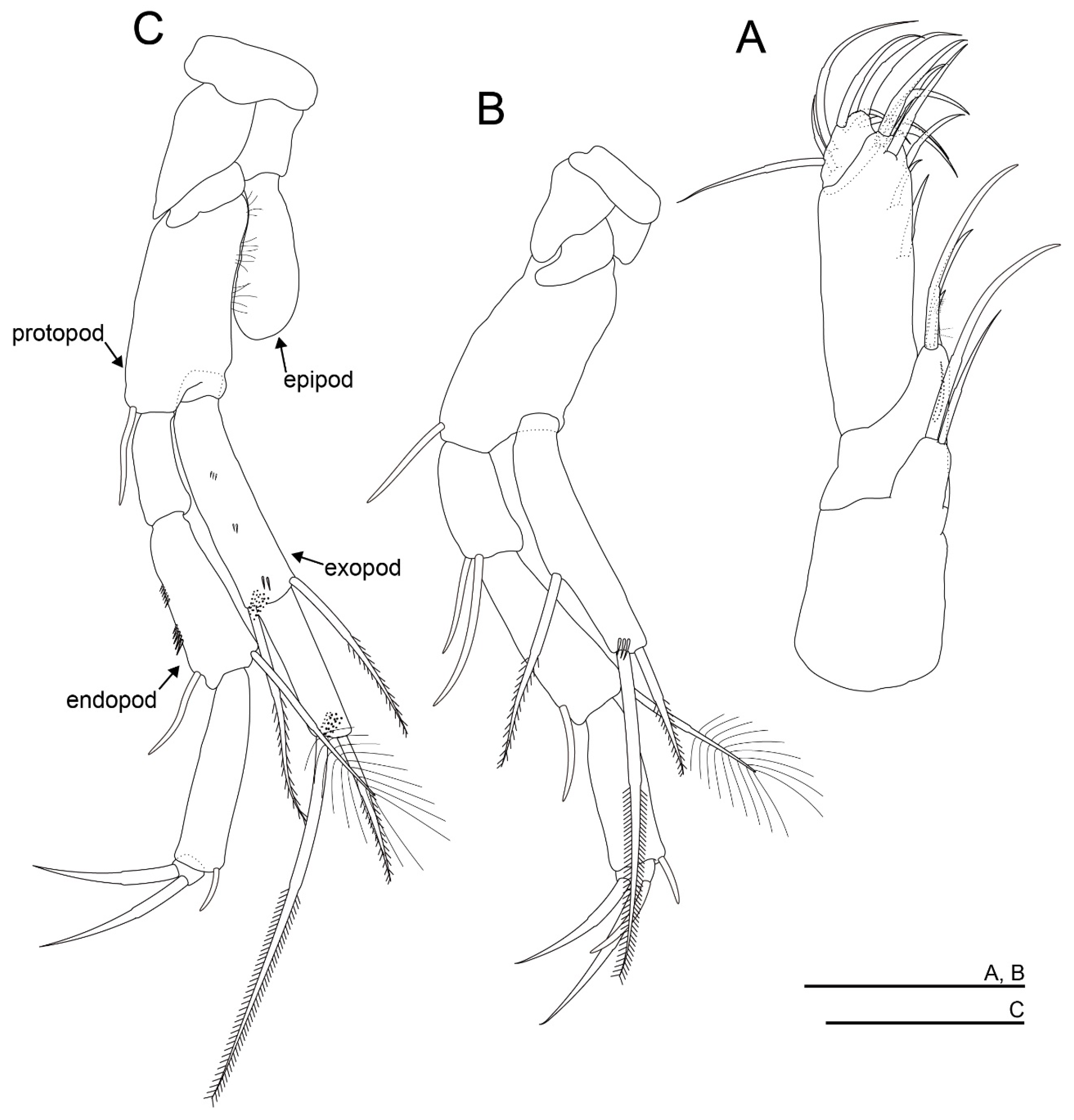 Diversity 15 01052 g009