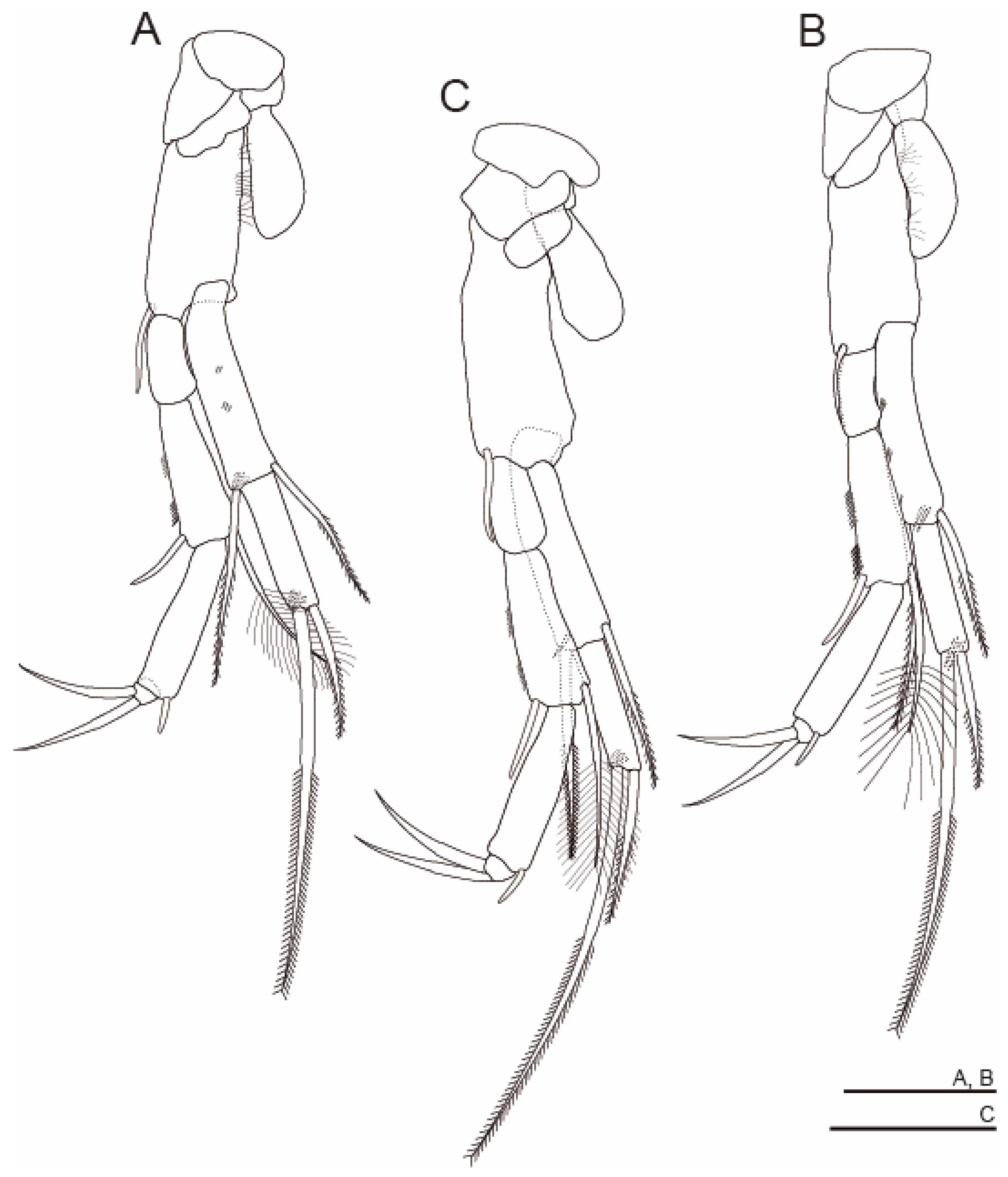 Diversity 15 01052 g010