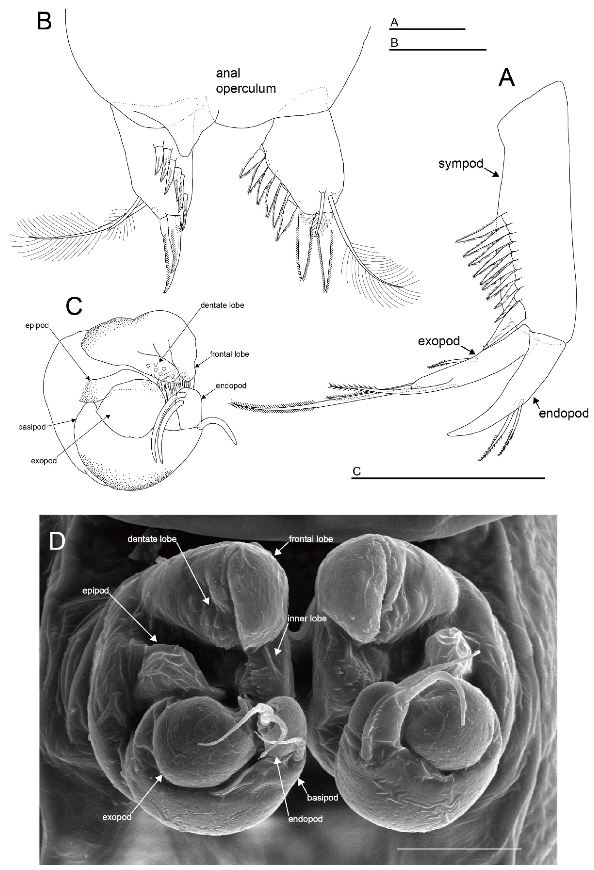 Diversity 15 01052 g012