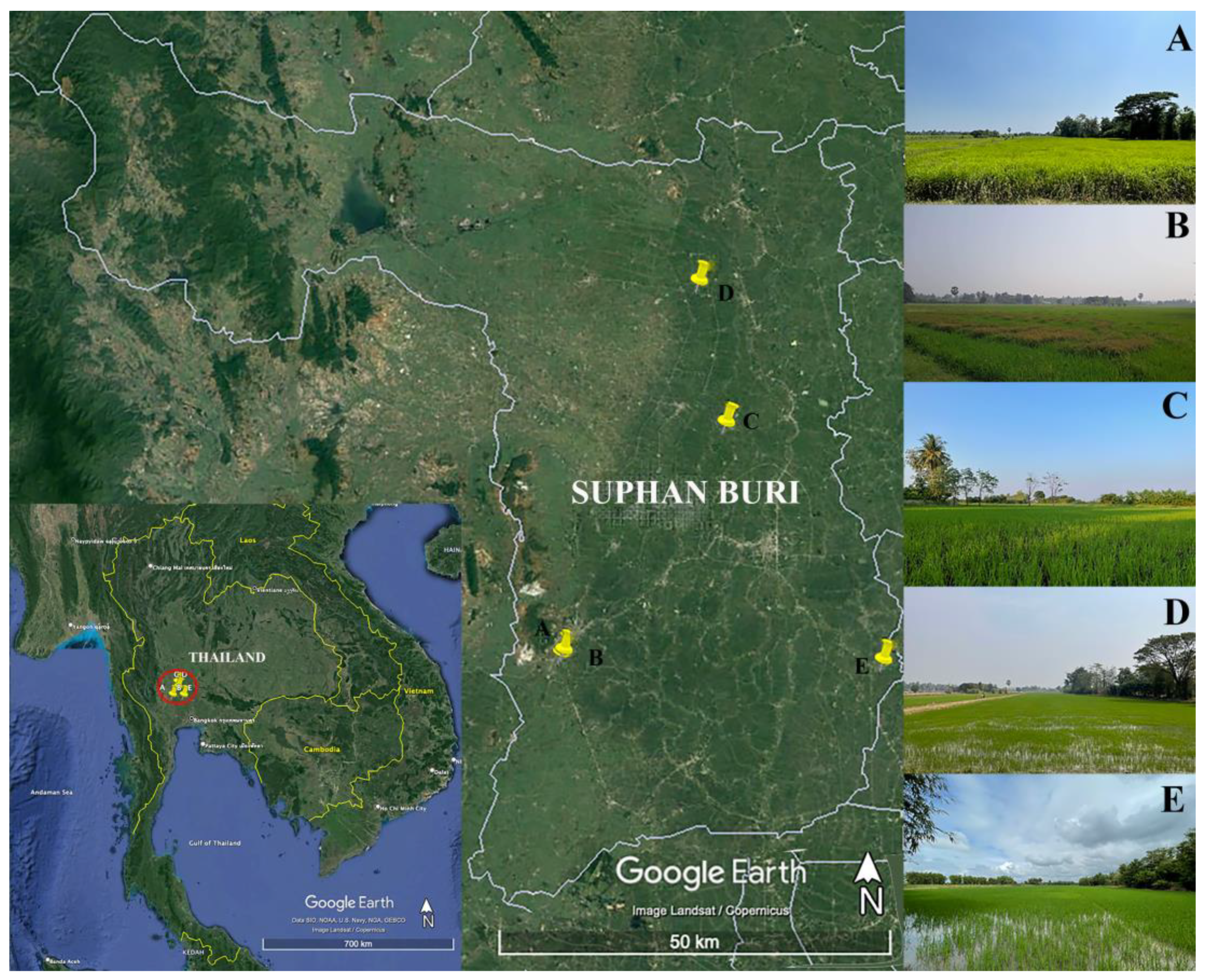 Diversity 15 01054 g001 Diversity 15 01054 g001