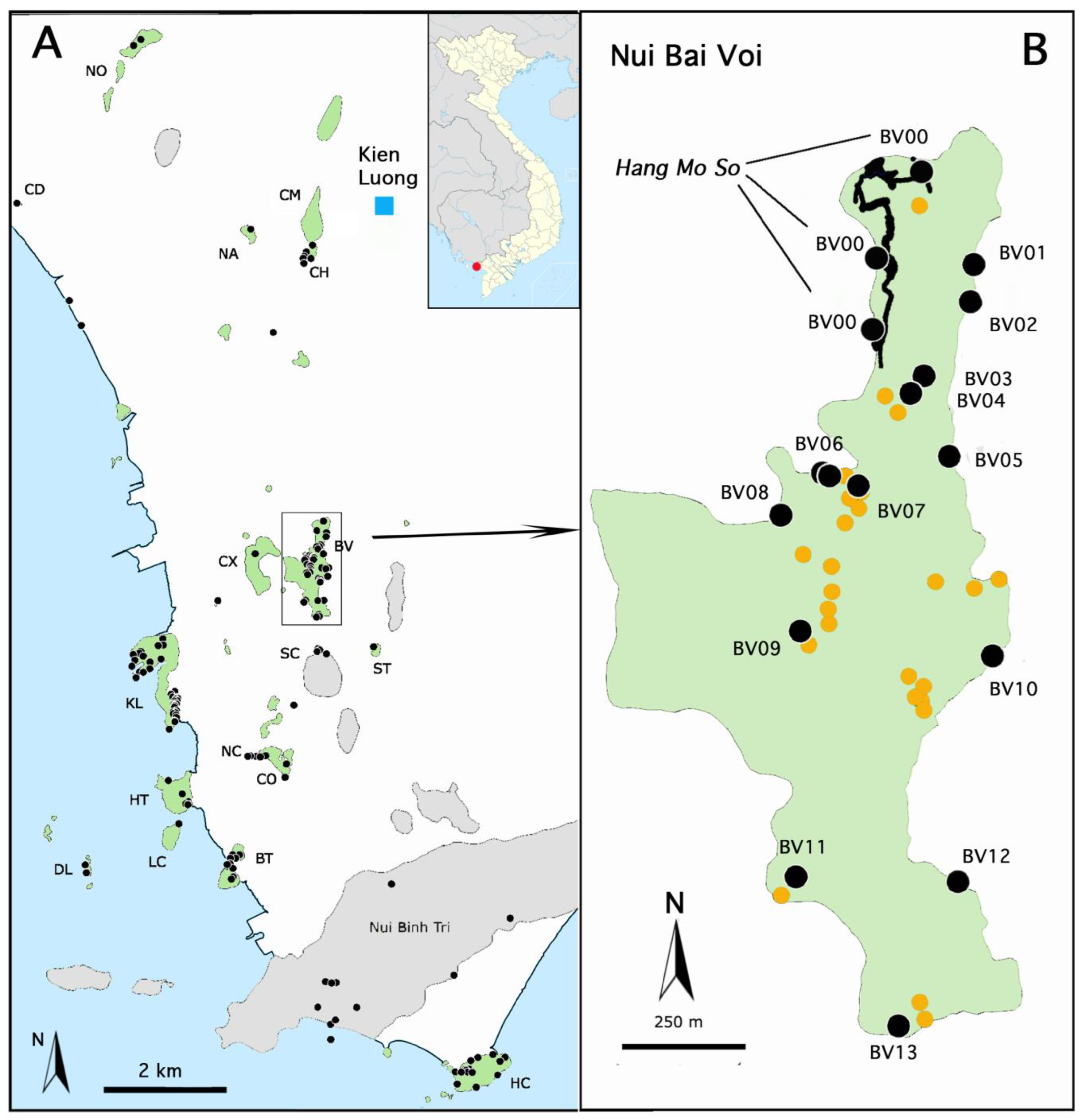 Diversity 15 01058 g001