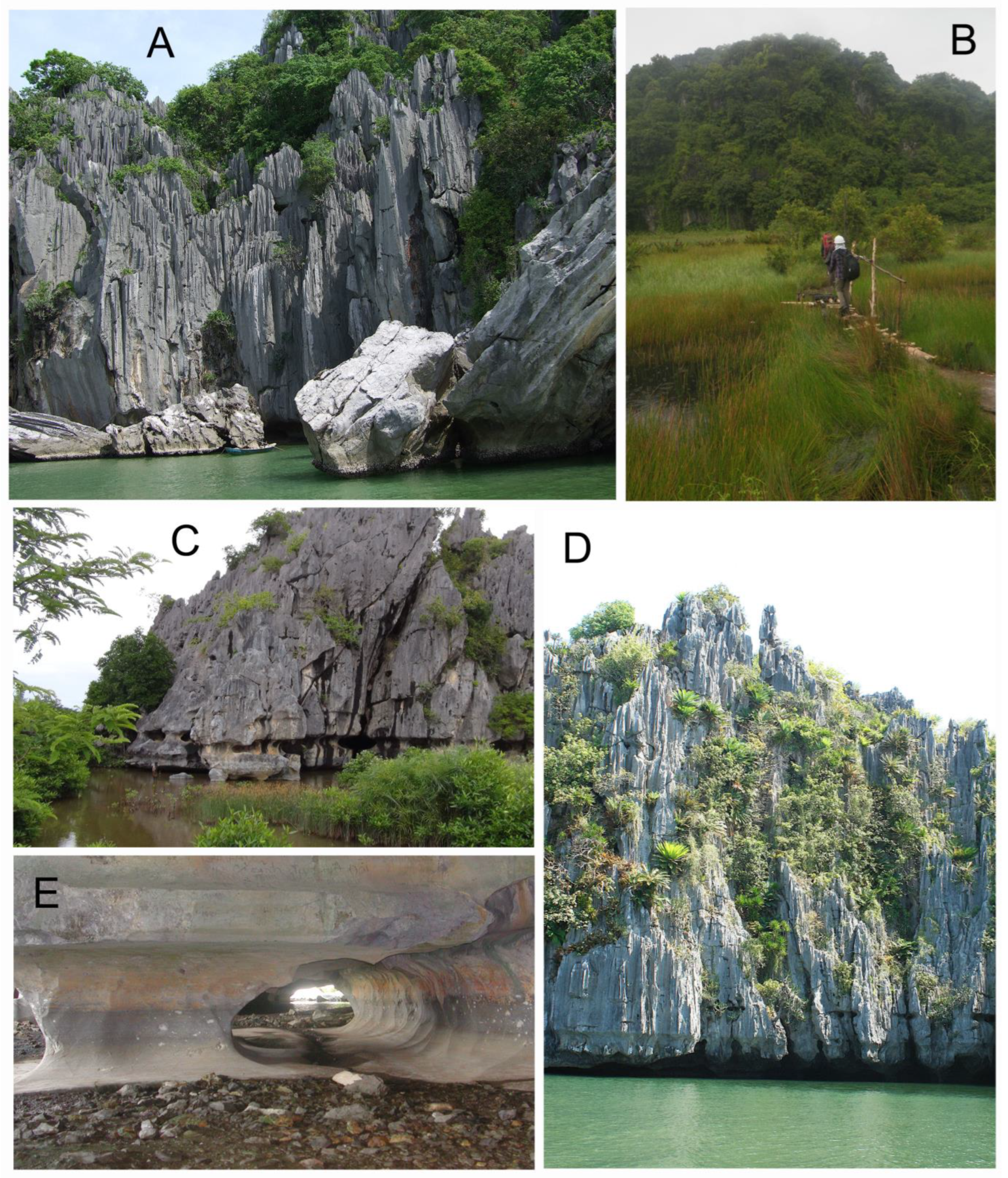 Diversity 15 01058 g002