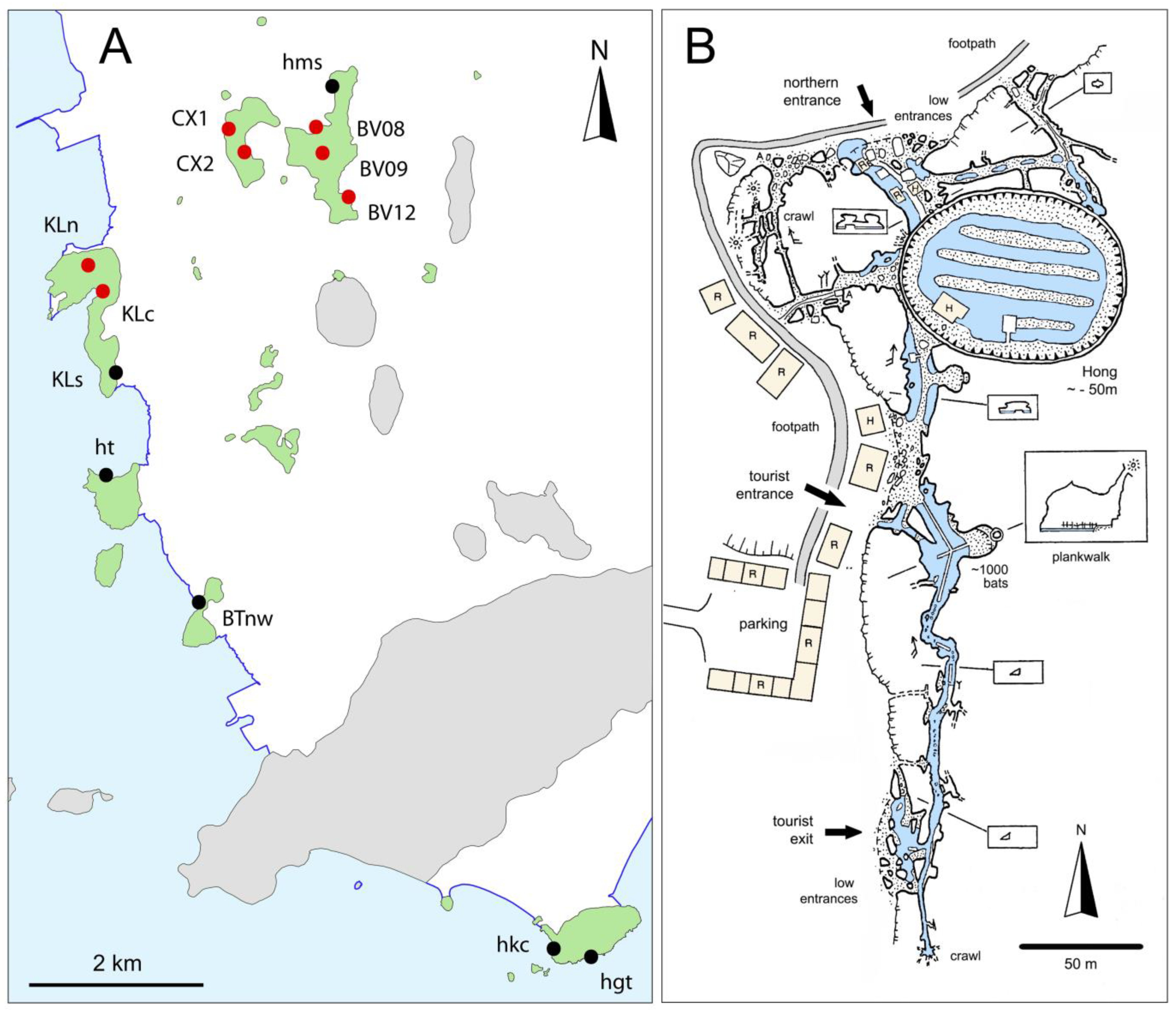 Diversity 15 01058 g003