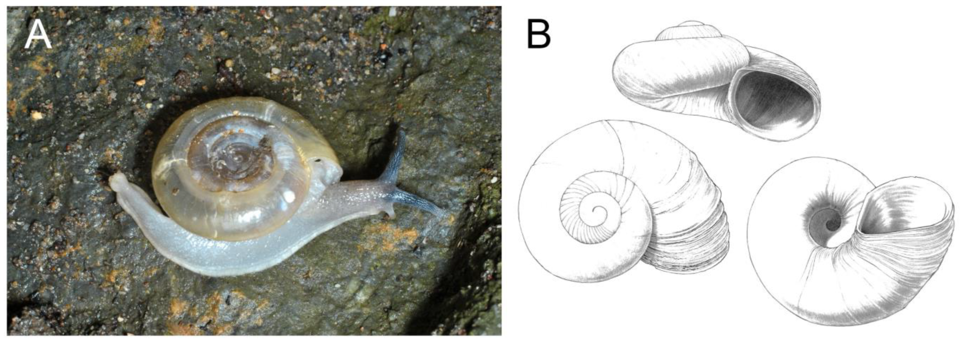 Diversity 15 01058 g005