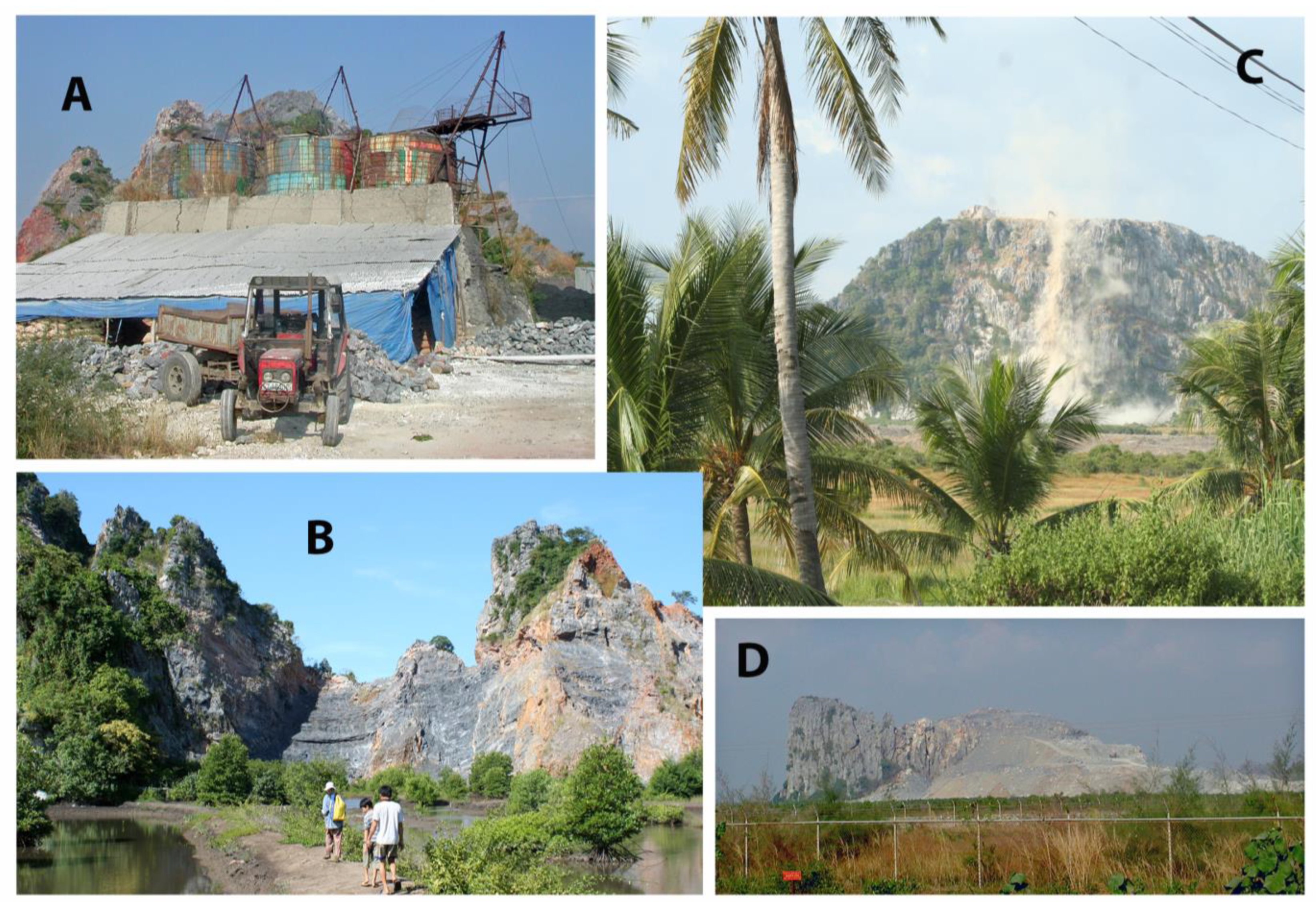 Diversity 15 01058 g011