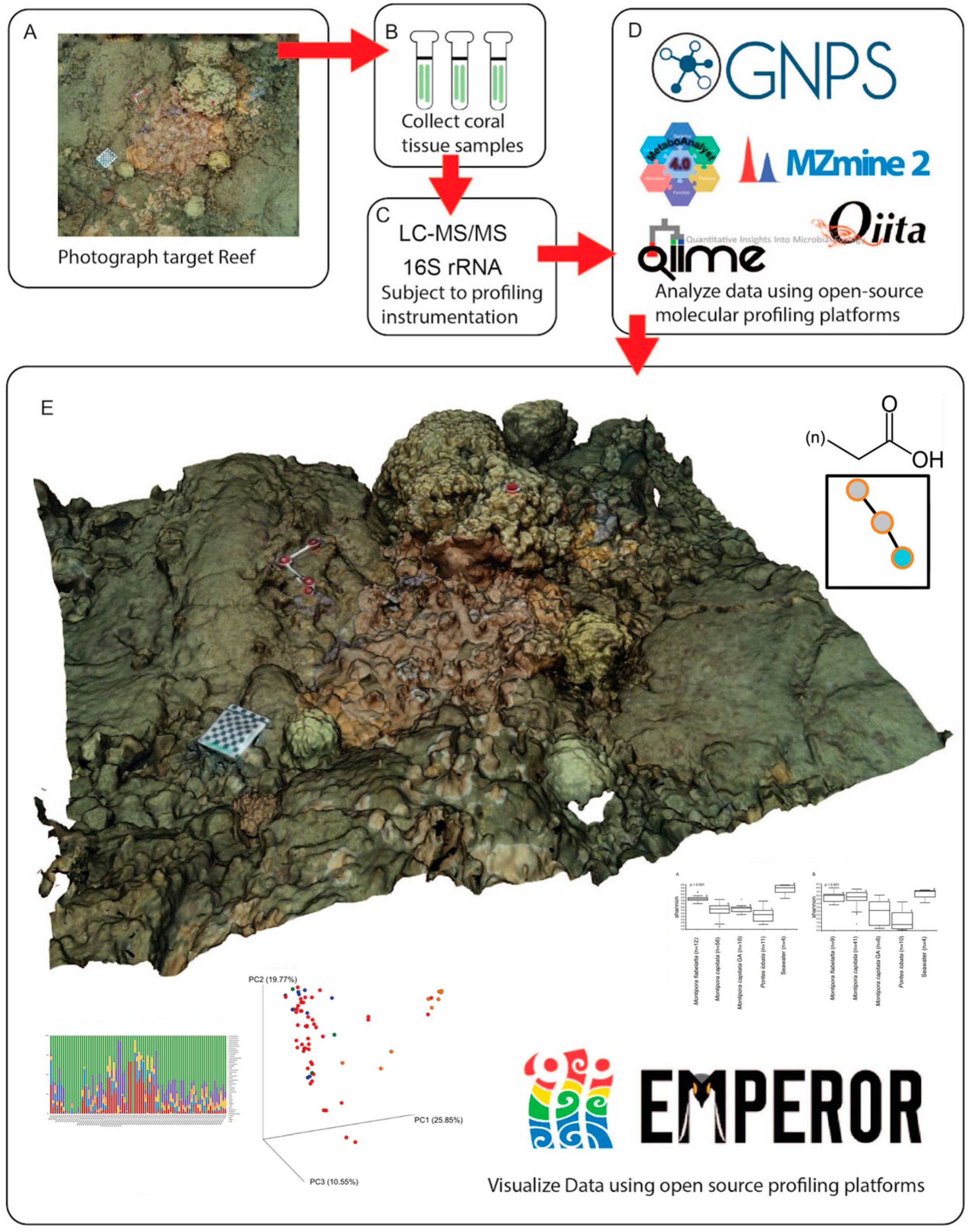 Diversity 15 01061 g001