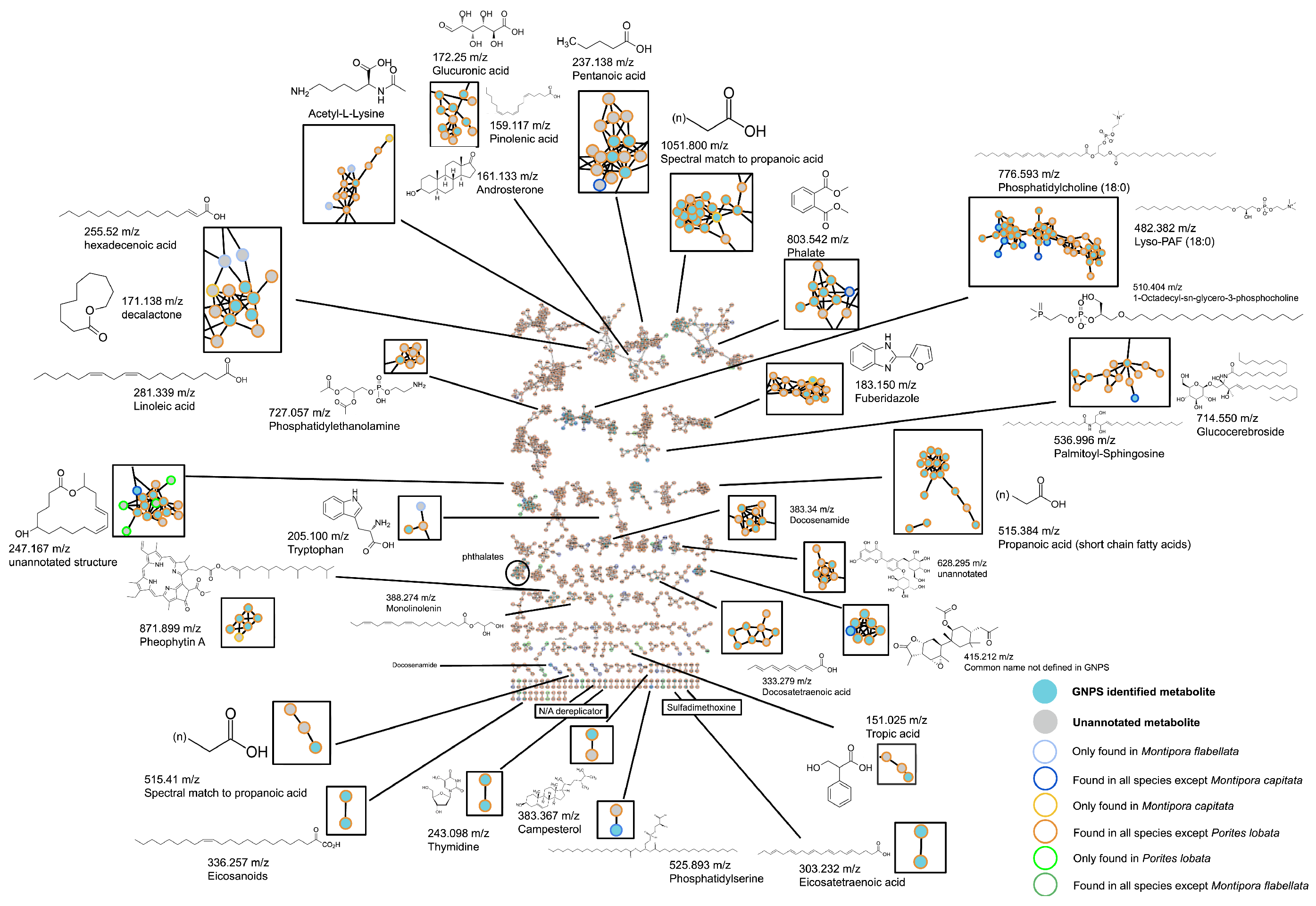 Diversity 15 01061 g002