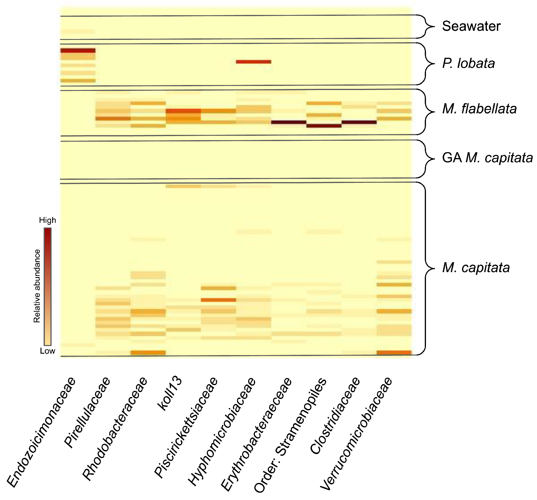 Diversity 15 01061 g003