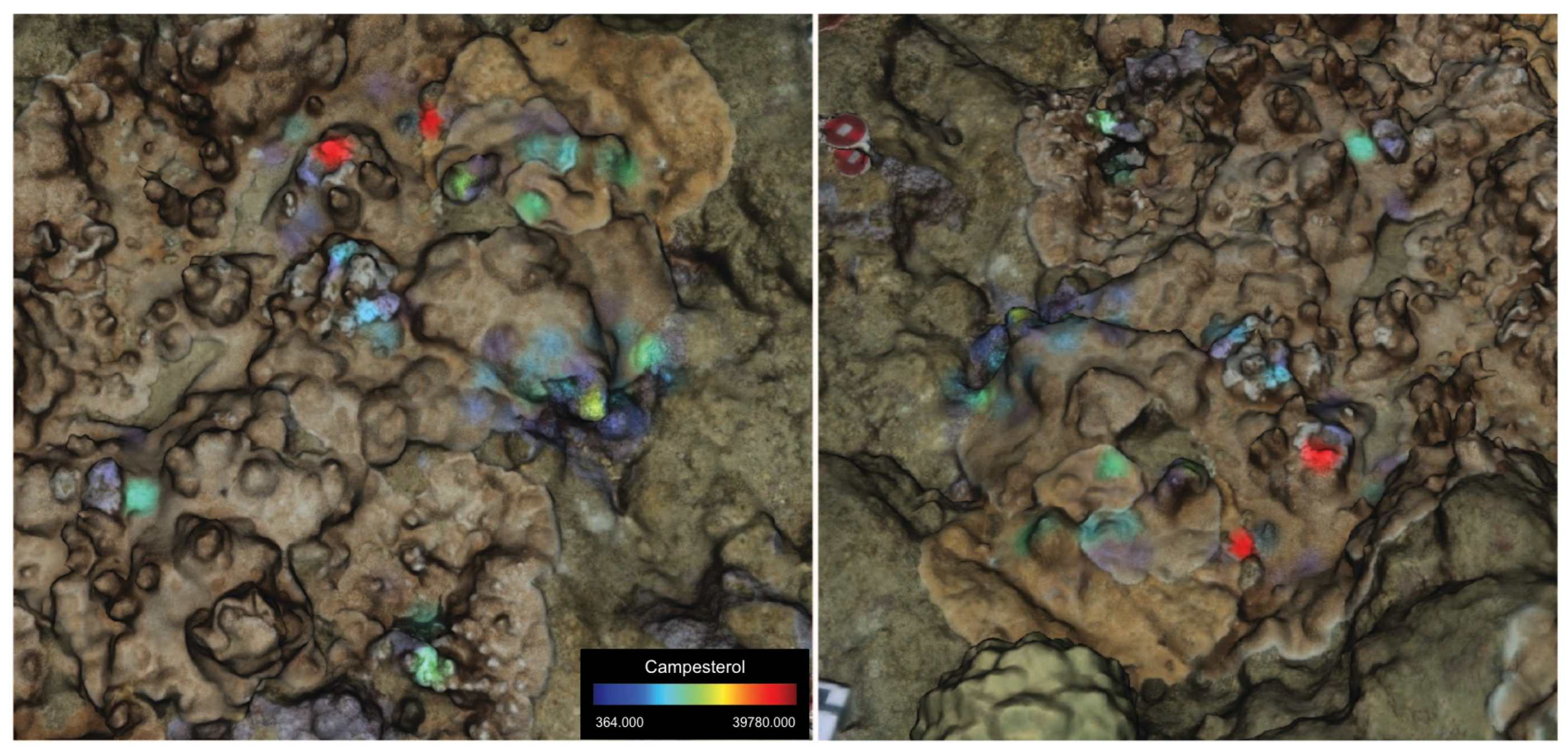 Diversity 15 01061 g0a3