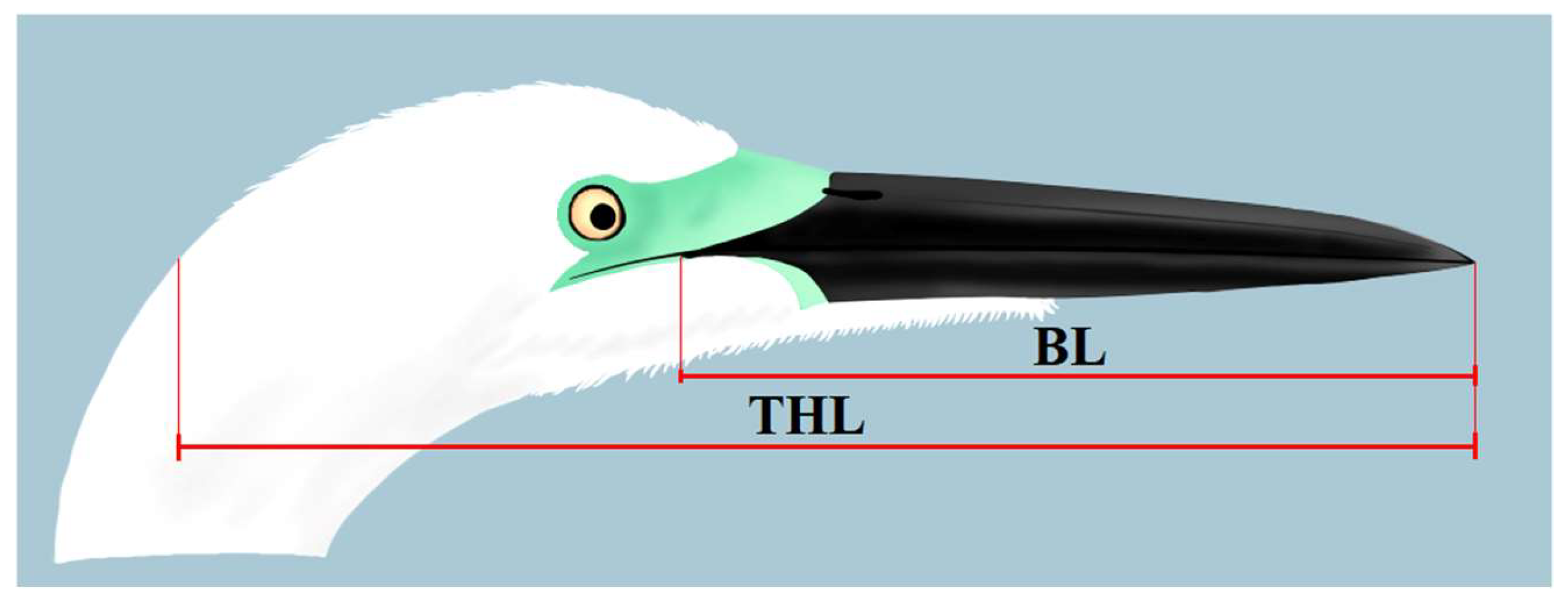 Diversity 15 01063 g003