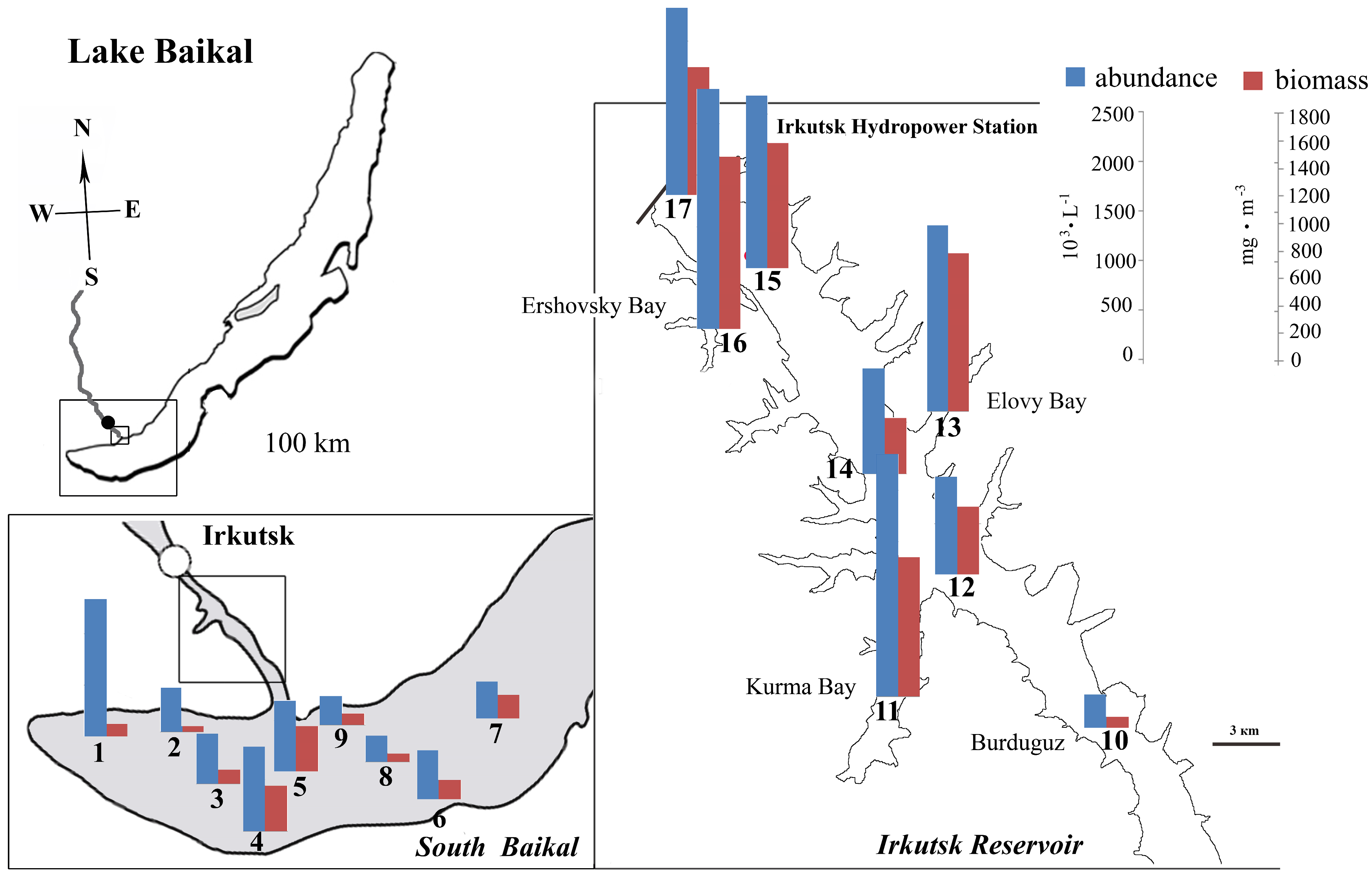 Diversity 15 01070 g001 Diversity 15 01070 g001