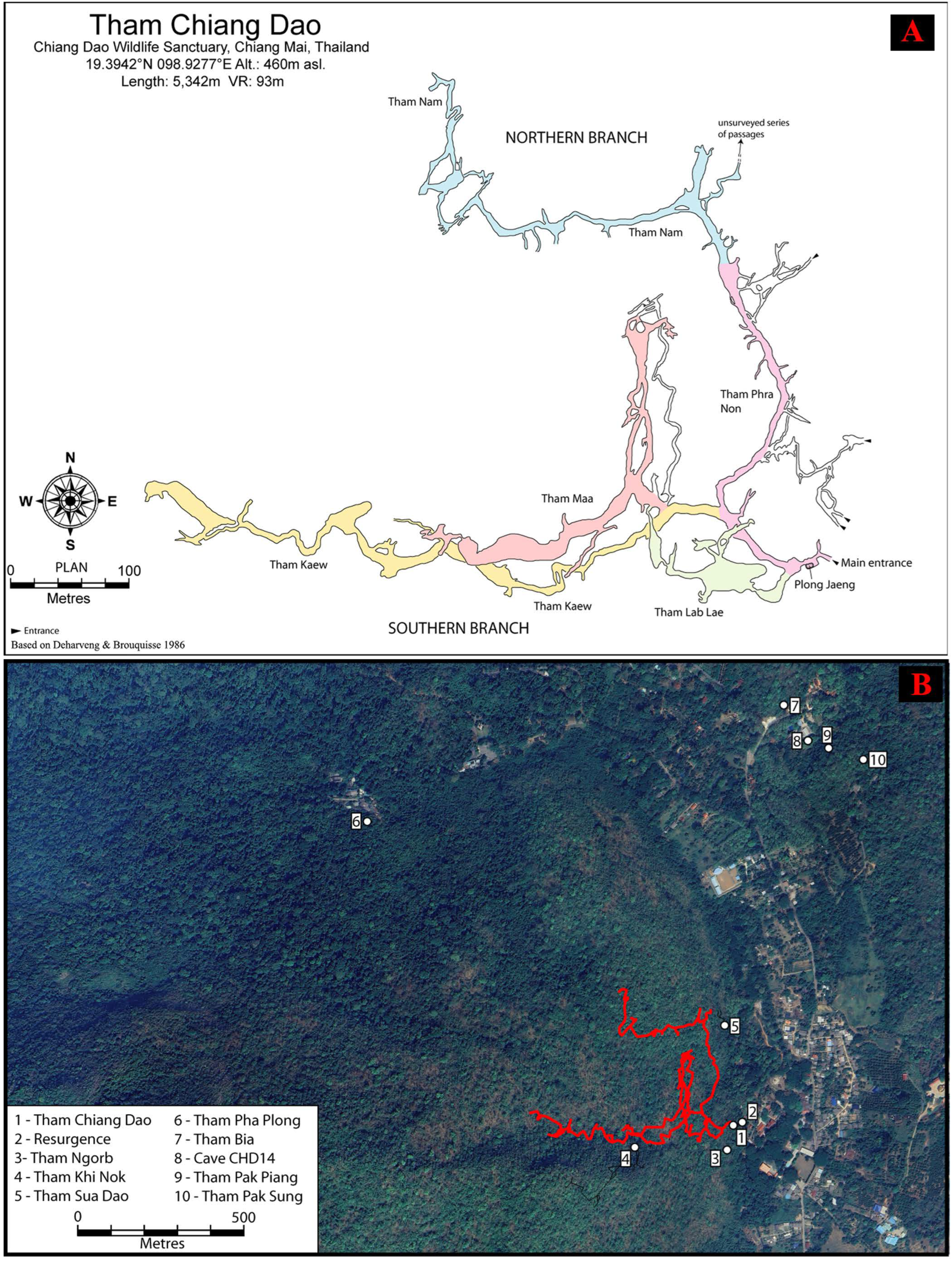 Diversity 15 01076 g002 Diversity 15 01076 g002