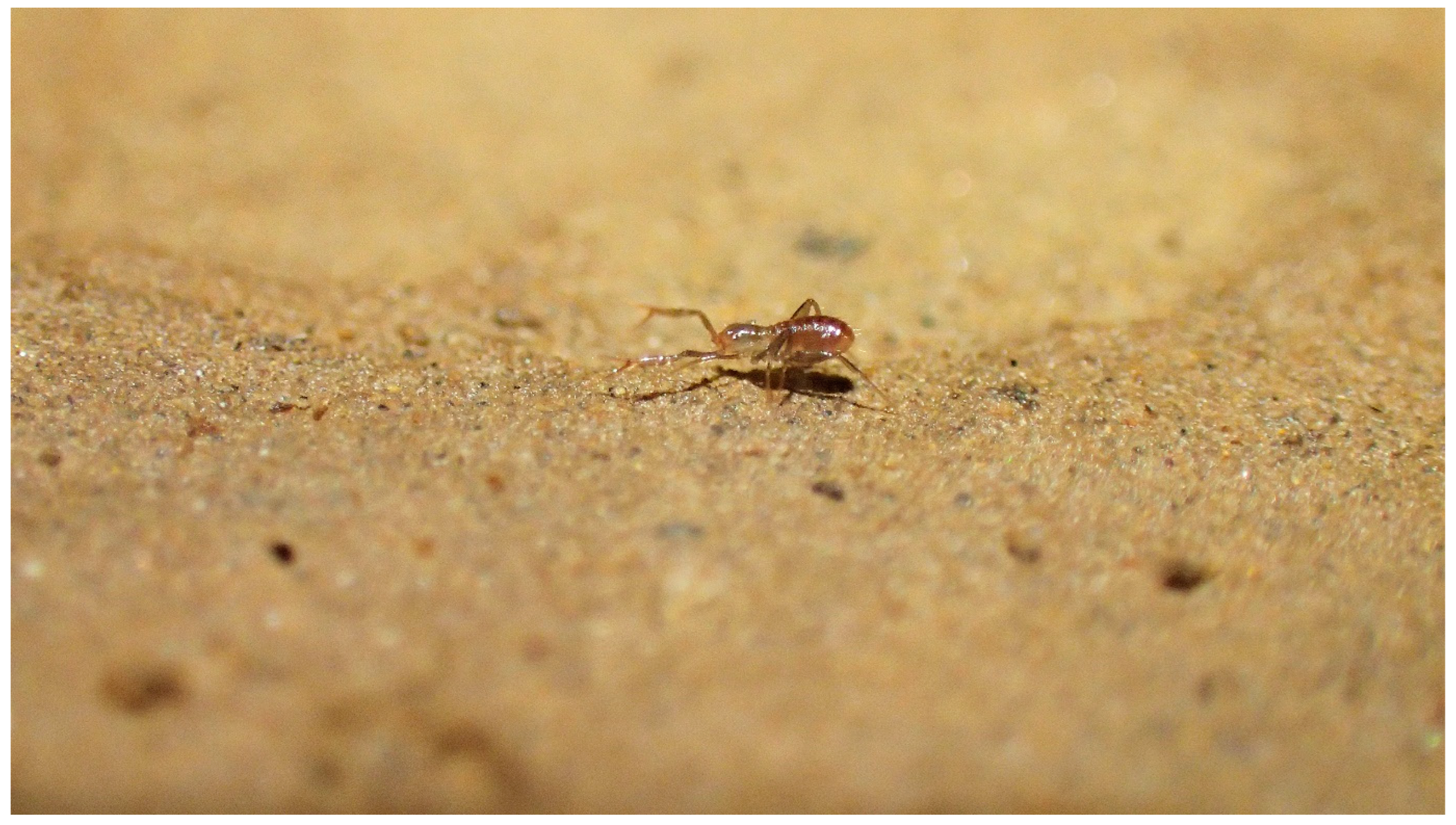 Diversity 15 01076 g005 Diversity 15 01076 g005